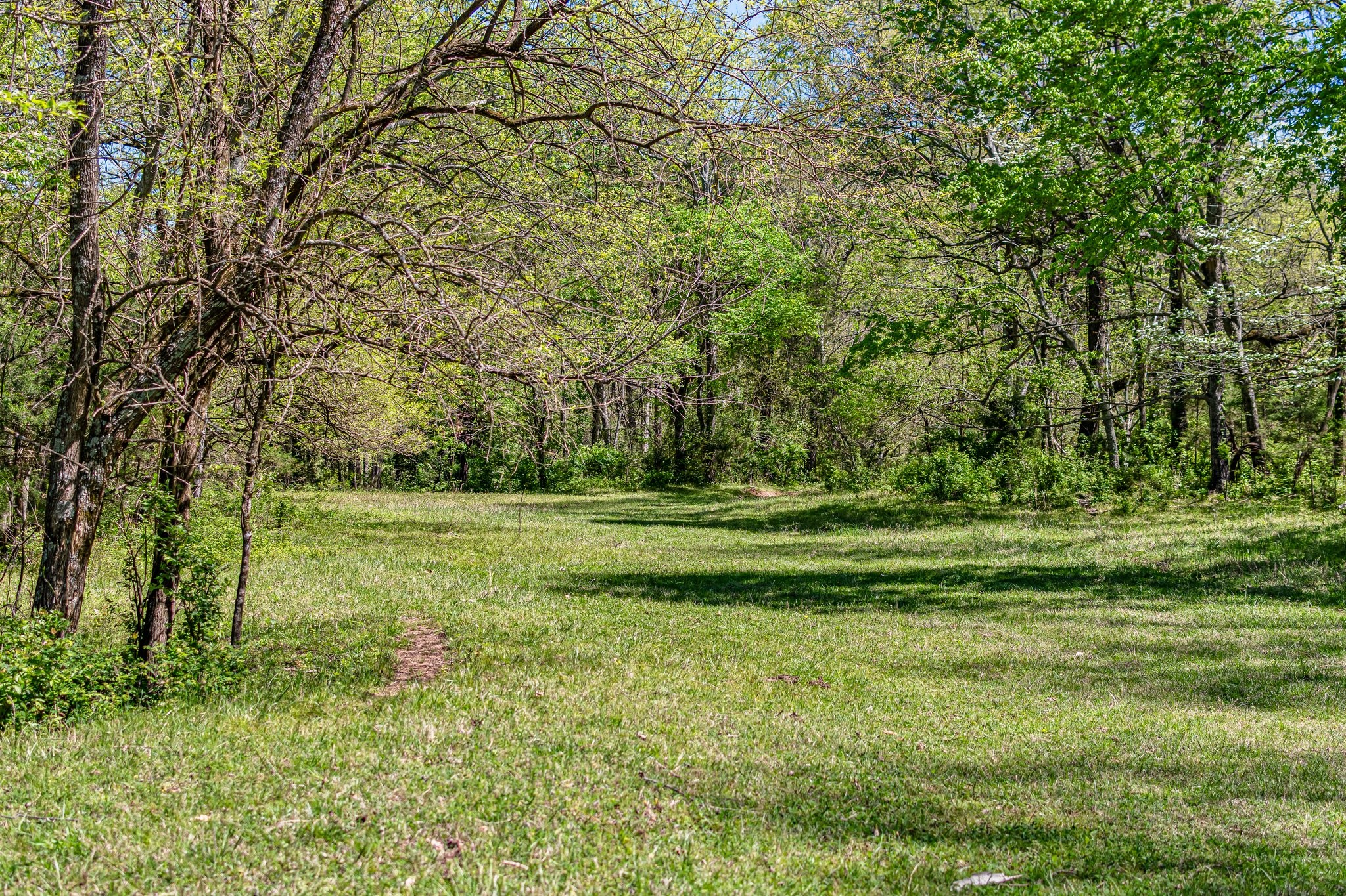 4540 Peytonsville Road Franklin, TN 37064 - Photo 31 of 84 a view of outdoor space with deck and green space