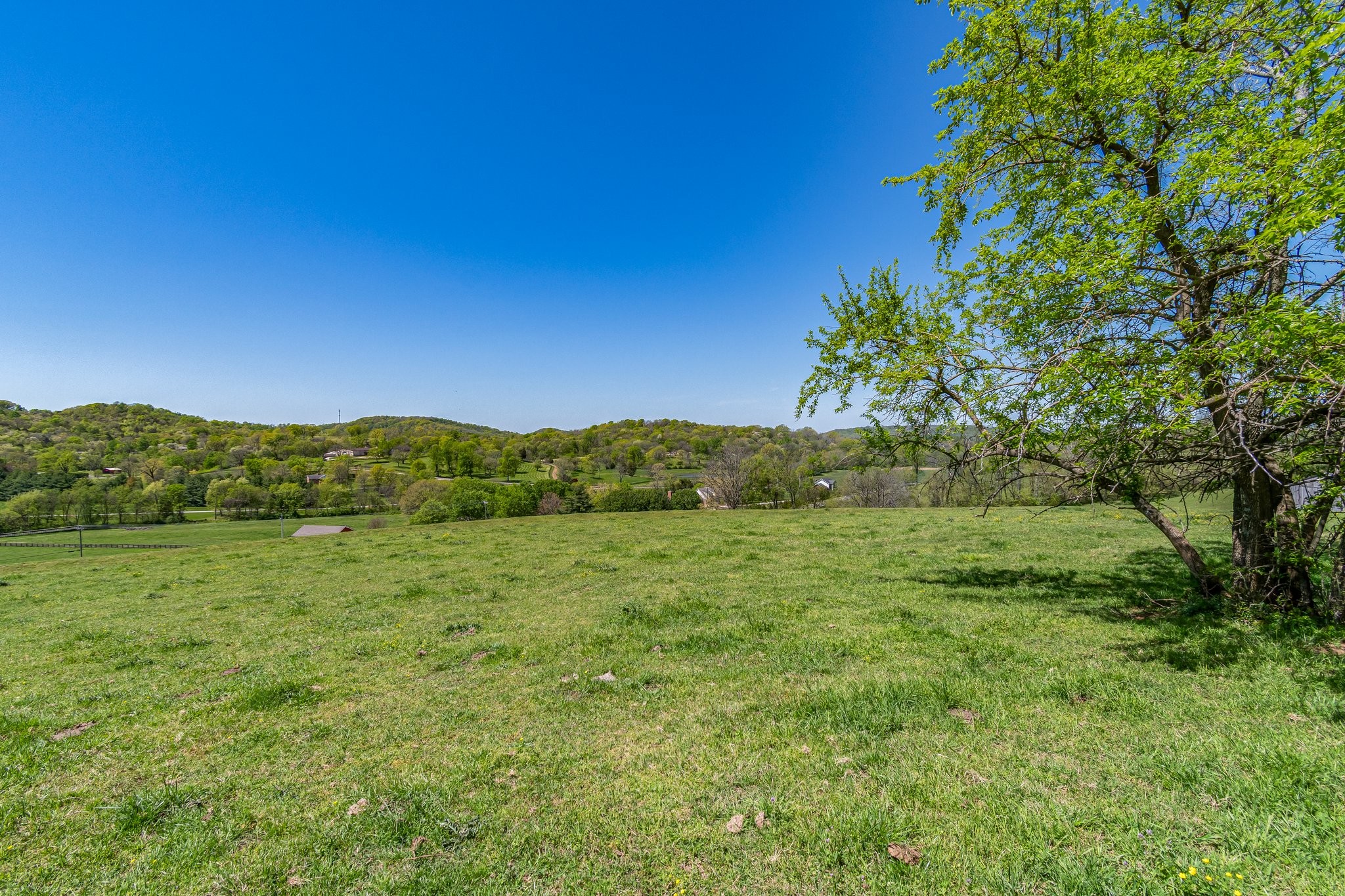 4540 Peytonsville Road Franklin, TN 37064 - Photo 32 of 84 a view of an outdoor space and a yard