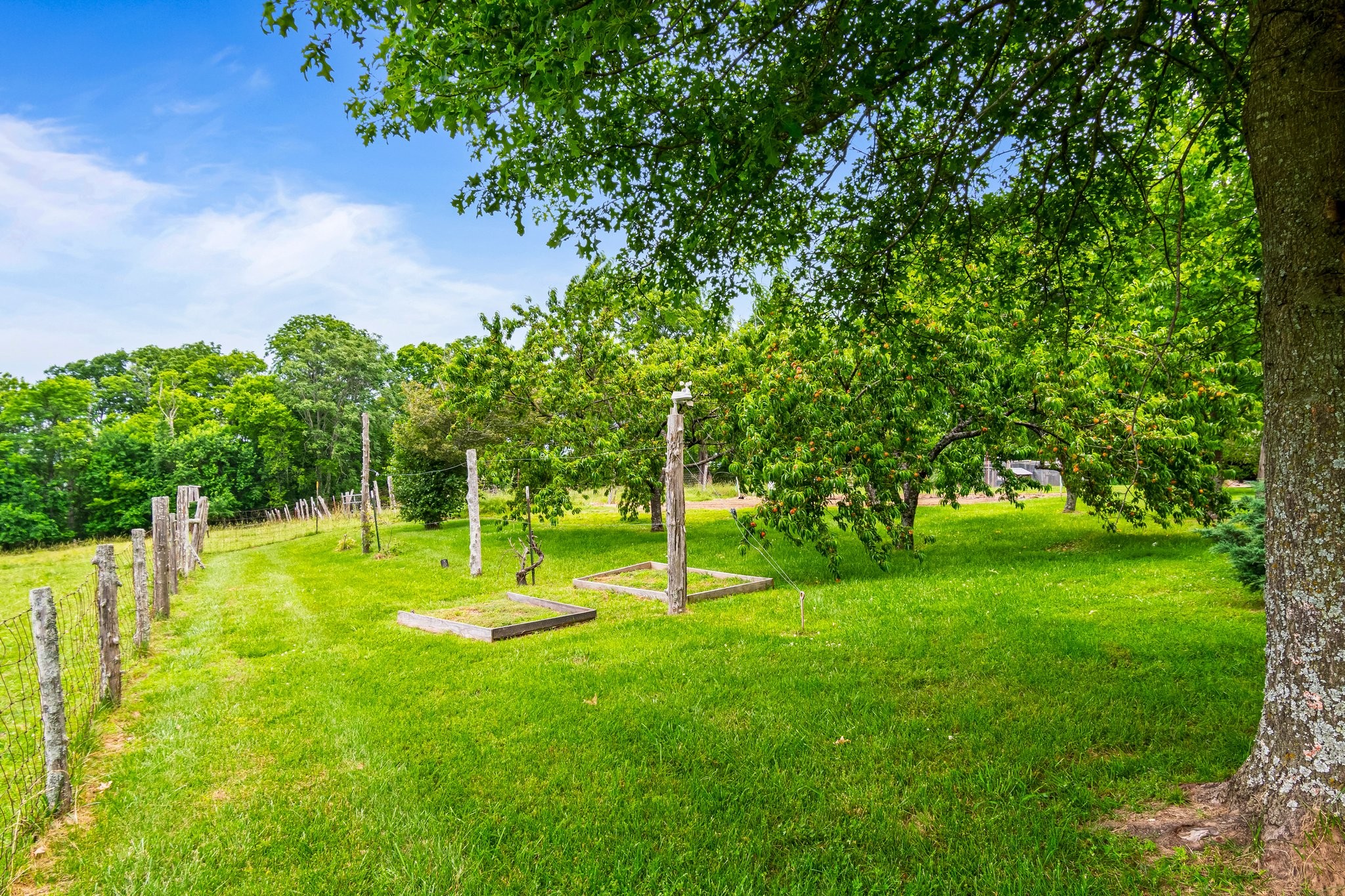 4540 Peytonsville Road Franklin, TN 37064 - Photo 81 of 84