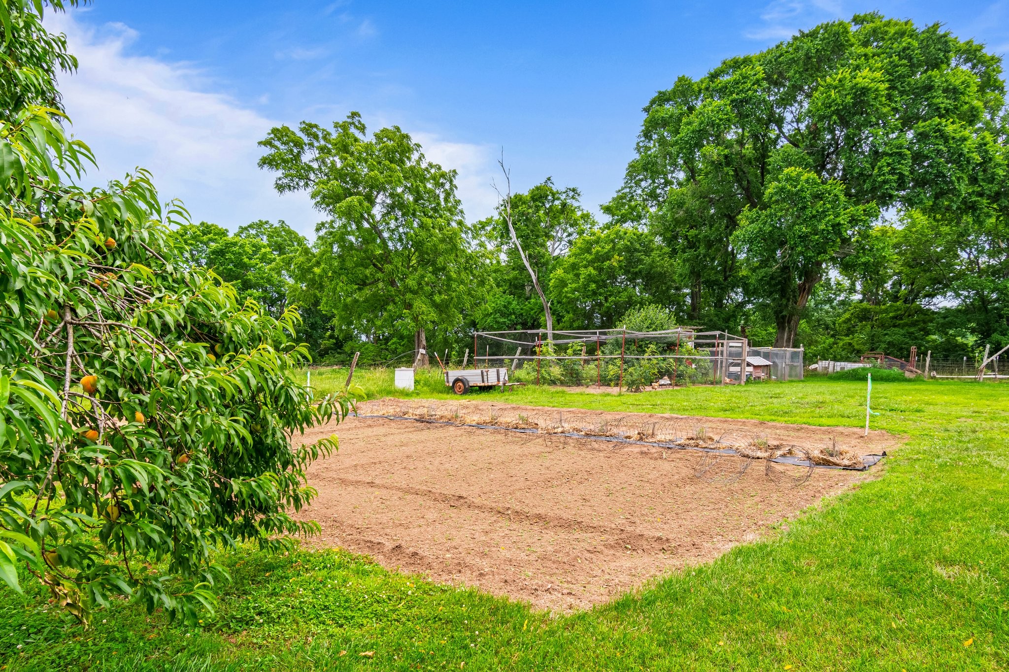 4540 Peytonsville Road Franklin, TN 37064 - Photo 83 of 84 a view of a swimming pool and a yard