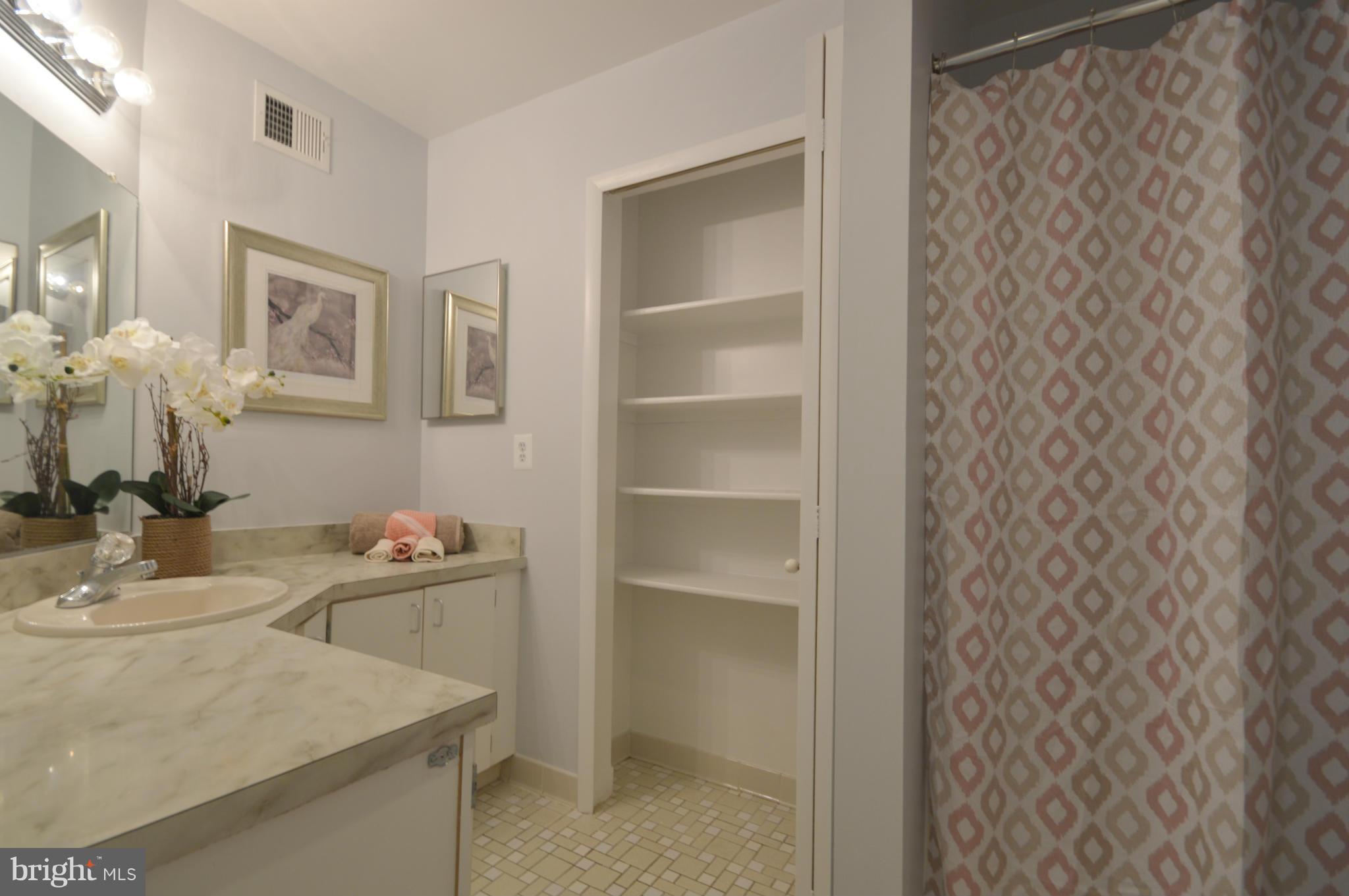1907 Winterport Cluster Reston, VA 20191 - Photo 17 of 30 Bath (Master)