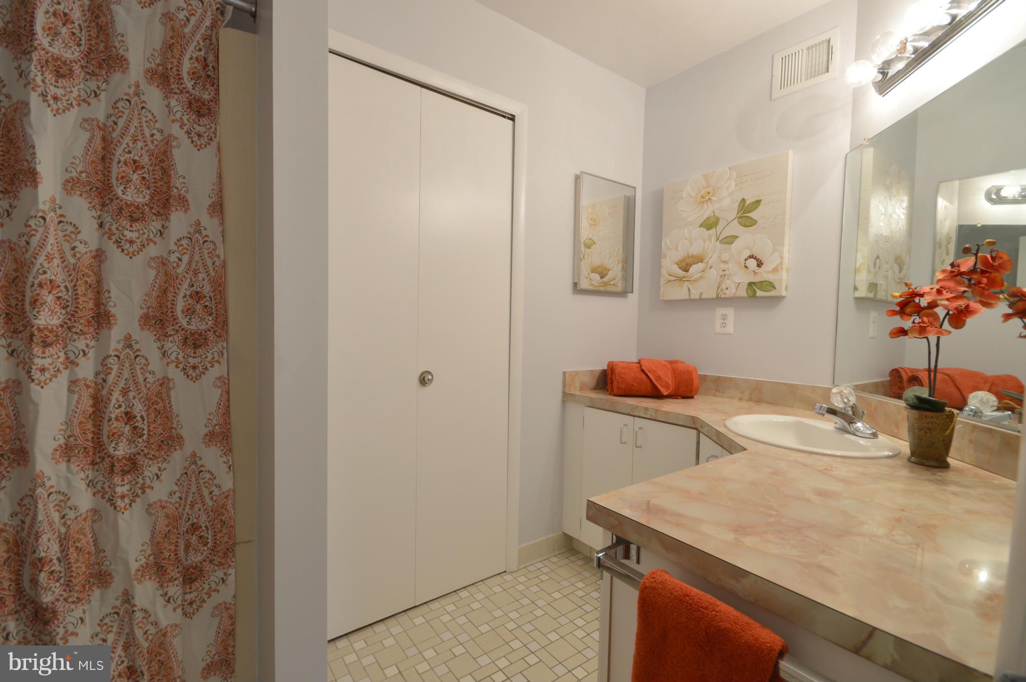 1907 Winterport Cluster Reston, VA 20191 - Photo 20 of 30 Bath