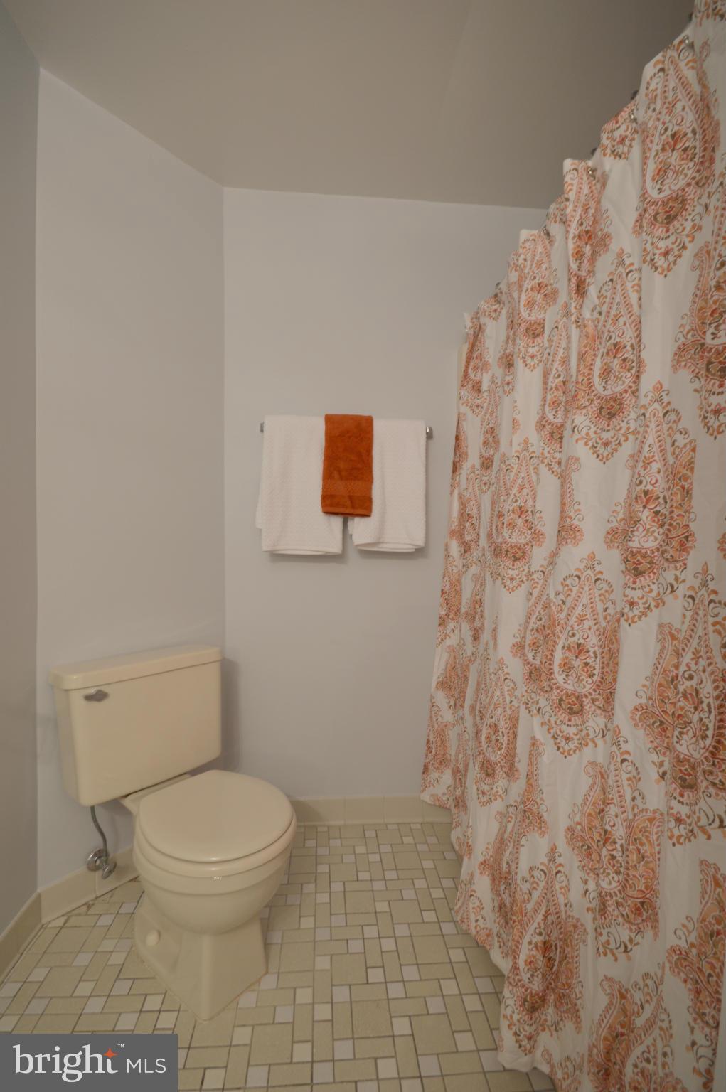 1907 Winterport Cluster Reston, VA 20191 - Photo 21 of 30 Bath
