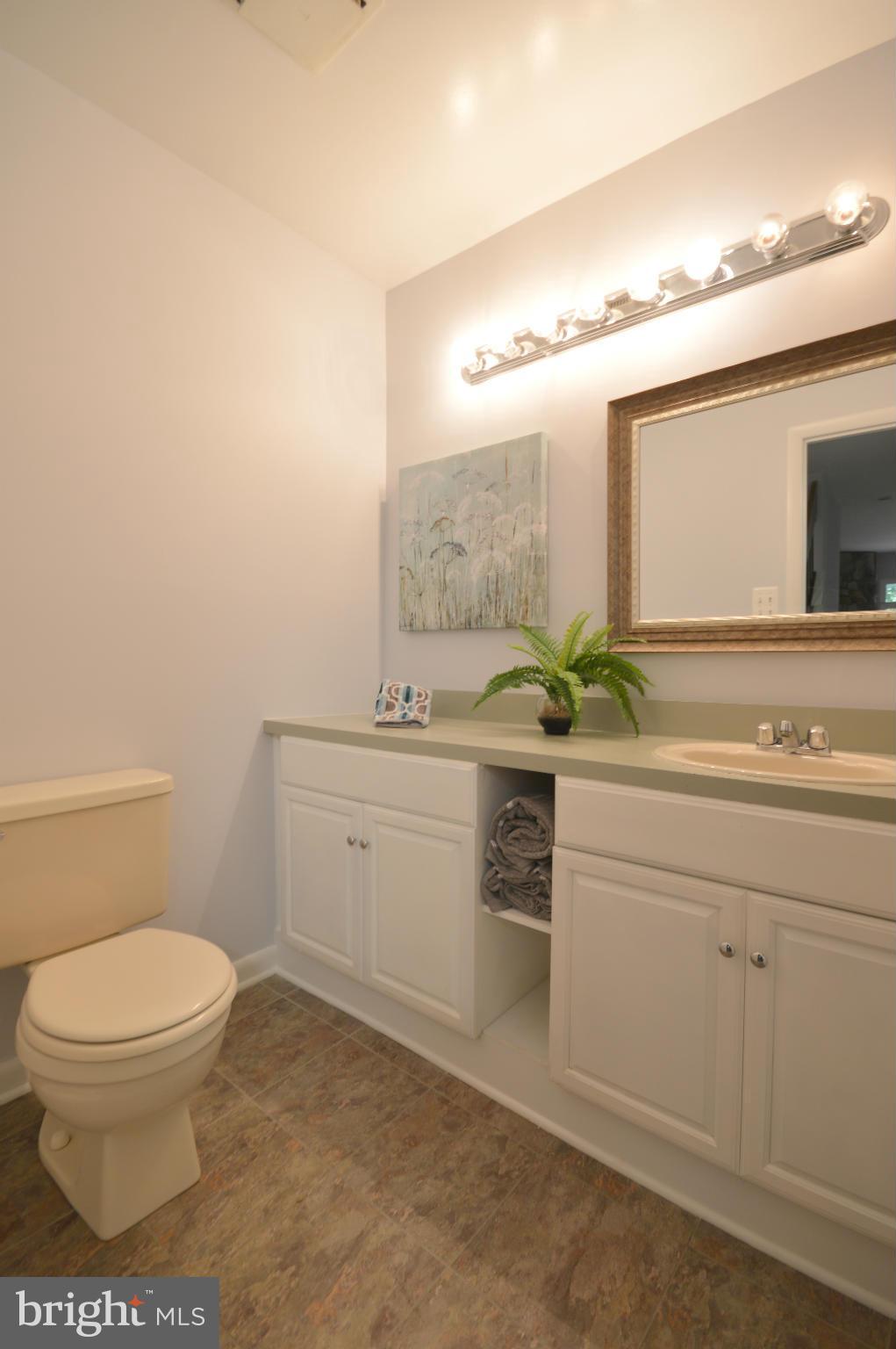 1907 Winterport Cluster Reston, VA 20191 - Photo 22 of 30 Bath