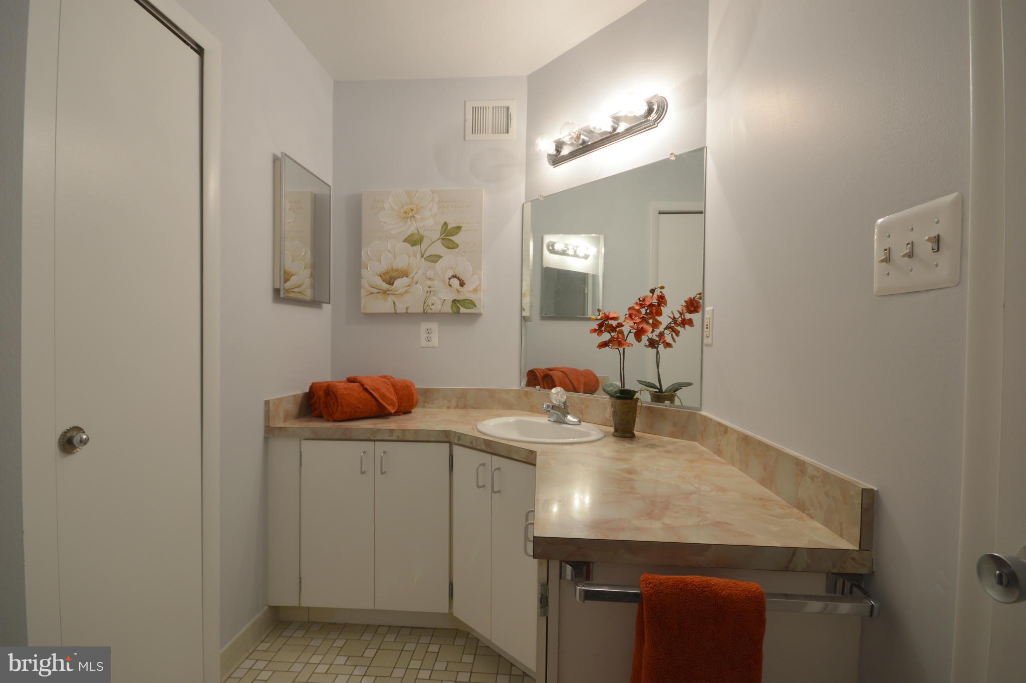 1907 Winterport Cluster Reston, VA 20191 - Photo 26 of 30 Bath
