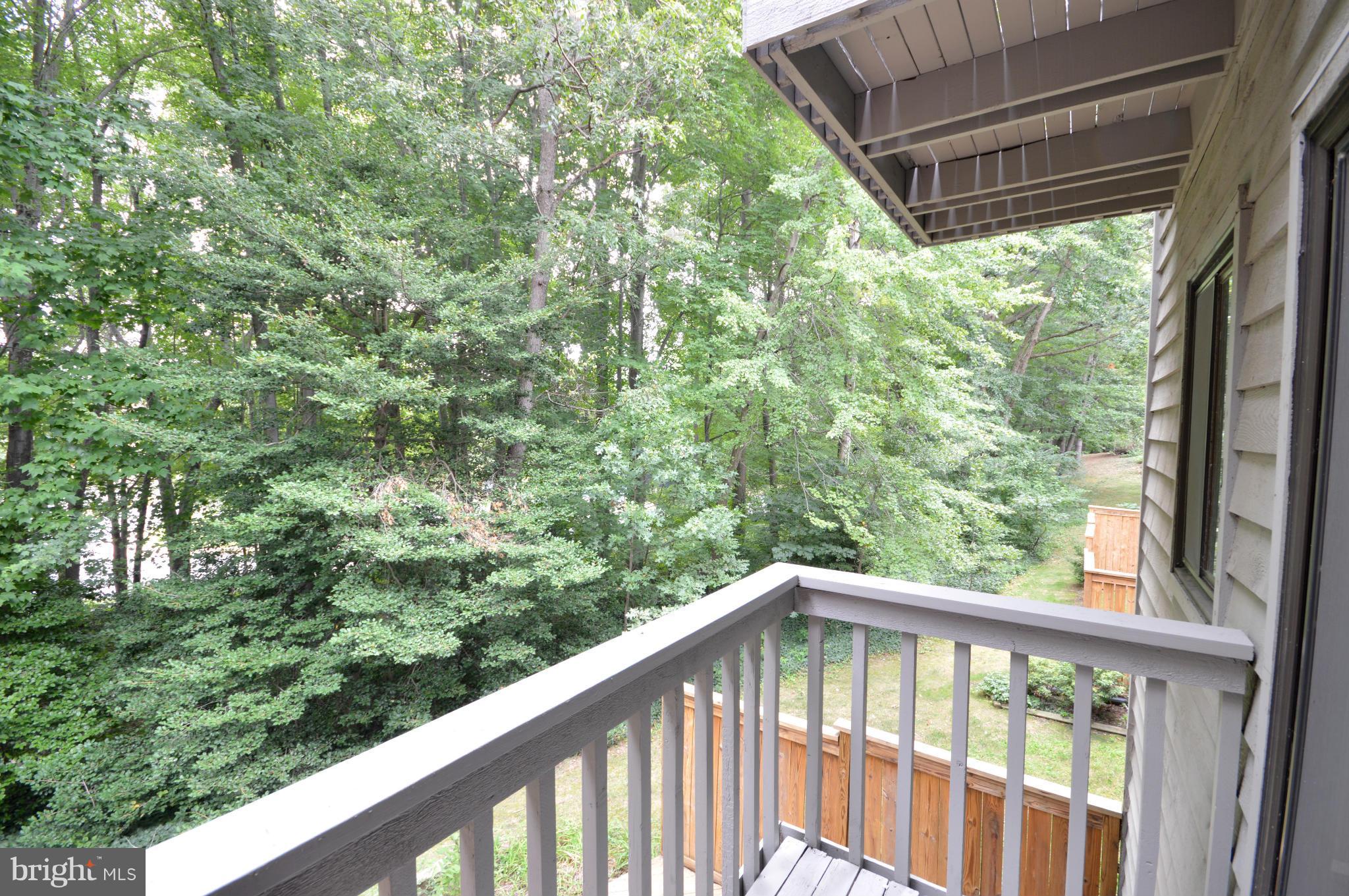 1907 Winterport Cluster Reston, VA 20191 - Photo 29 of 30 Balcony
