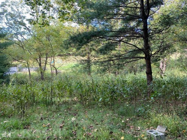Tbd Pine Run Road Draper, VA 24324 - Photo 3 of 19 Gallery Image 3