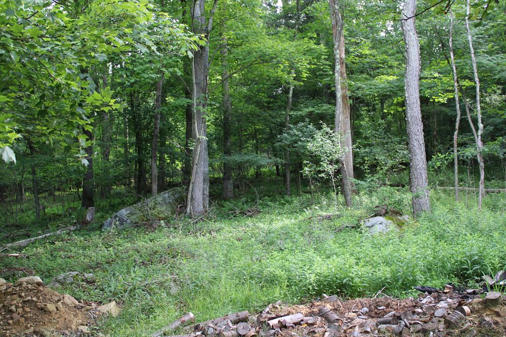 167 Brownies Road Marble, PA 16334 - Photo 13 of 27