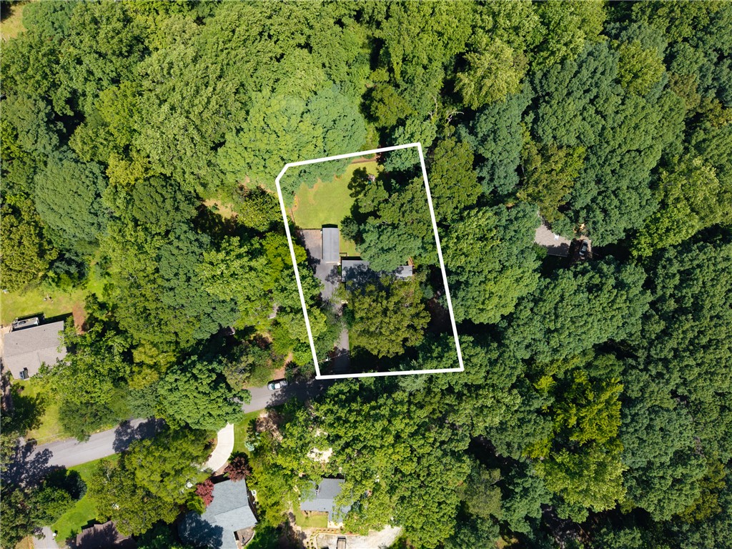 203 Augusta Road Clemson, SC 29631 - Photo 29 of 31 A tranquil, secluded residence nestles amidst a verdant canopy of mature trees.