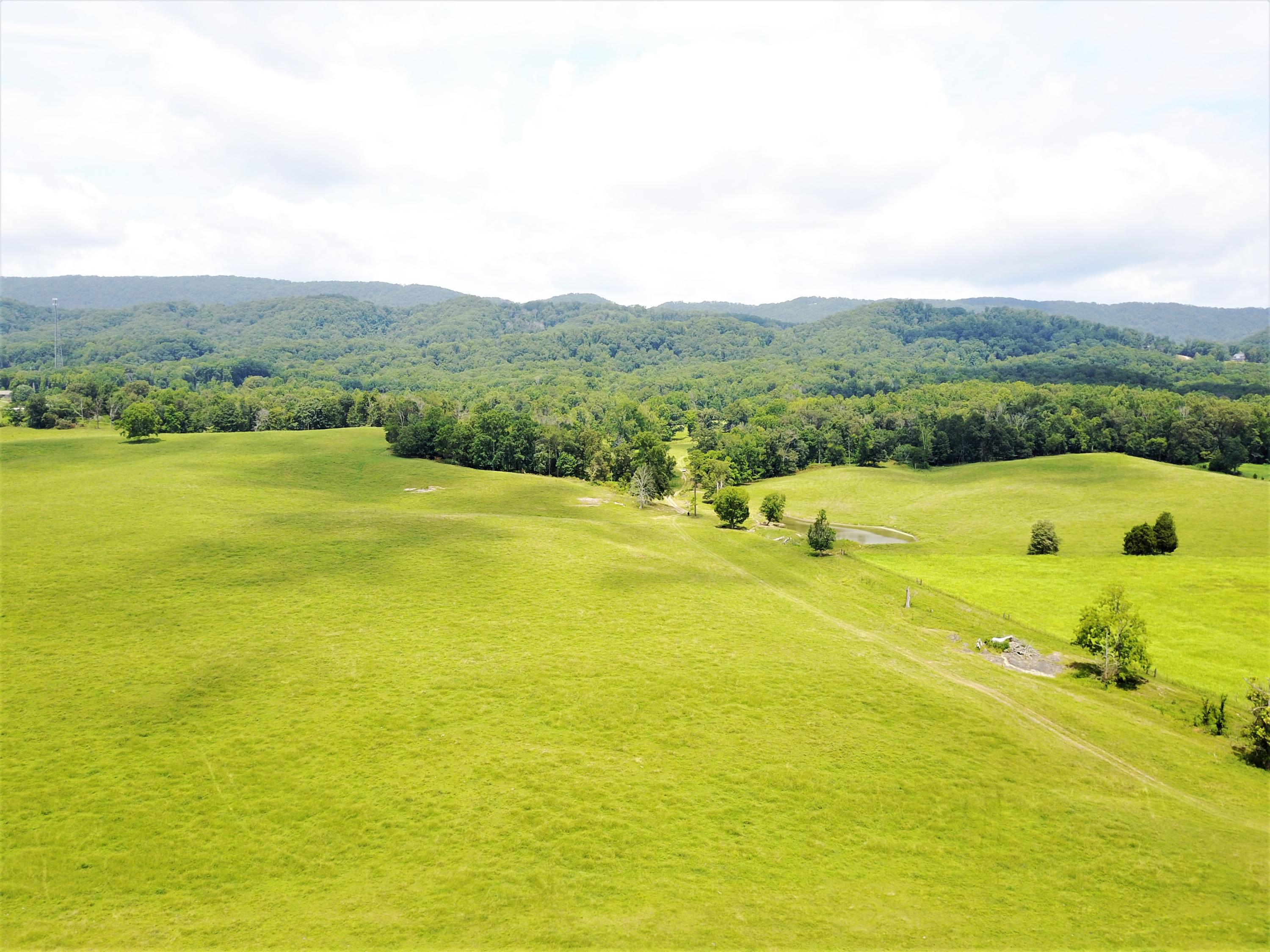Taylor Road Rutledge, TN 37861 - Photo 1 of 15 001_aerial_1