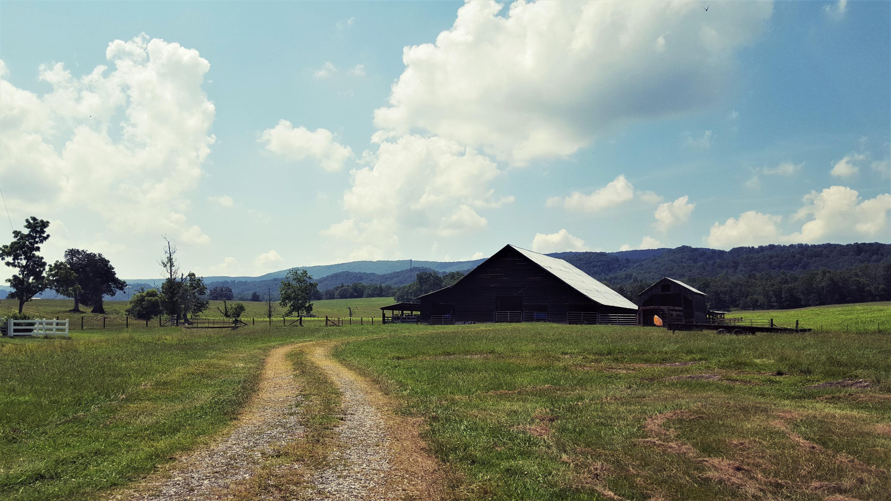 Taylor Road Rutledge, TN 37861 - Photo 2 of 15 002_barns_1
