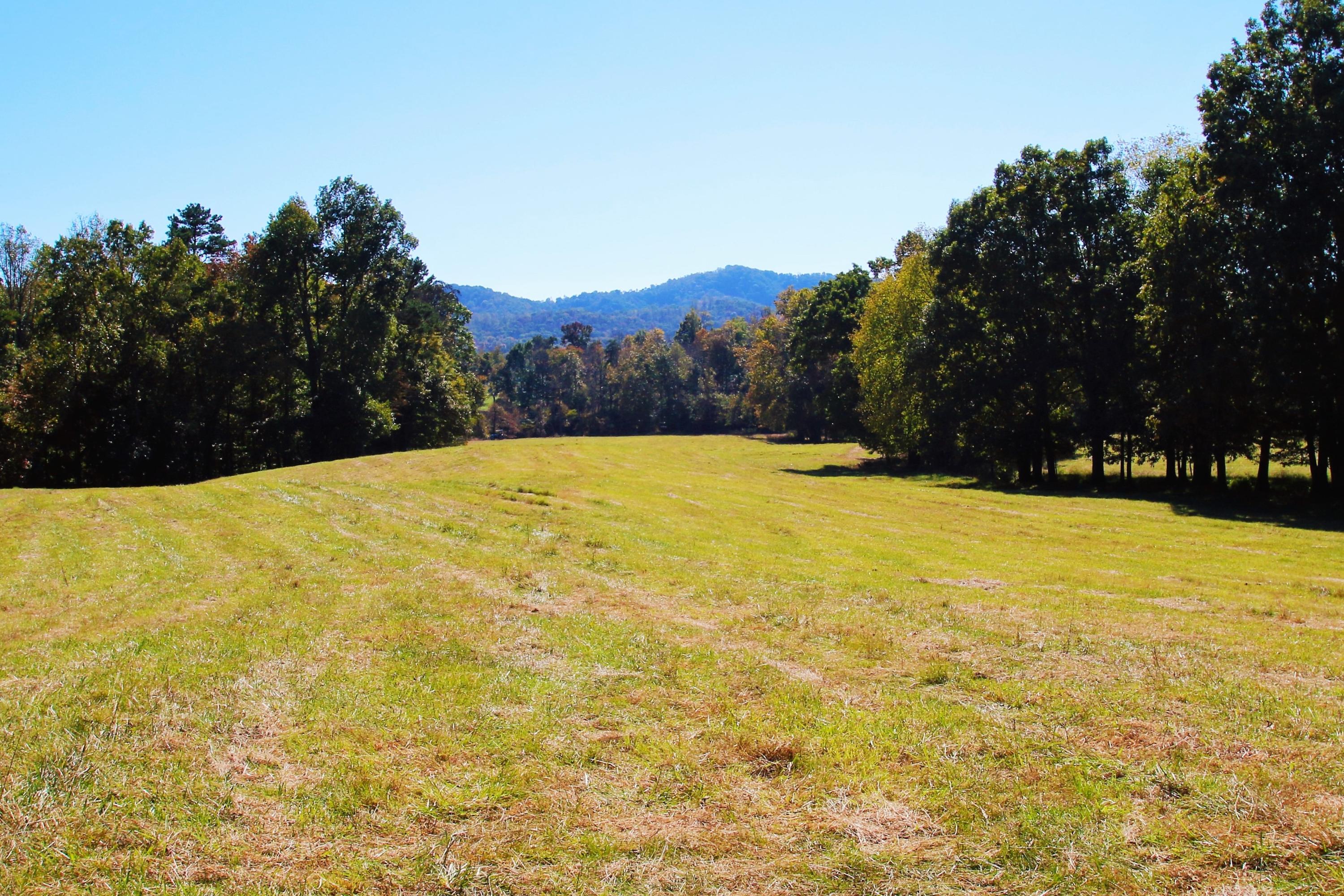 Taylor Road Rutledge, TN 37861 - Photo 11 of 15 011_upper field