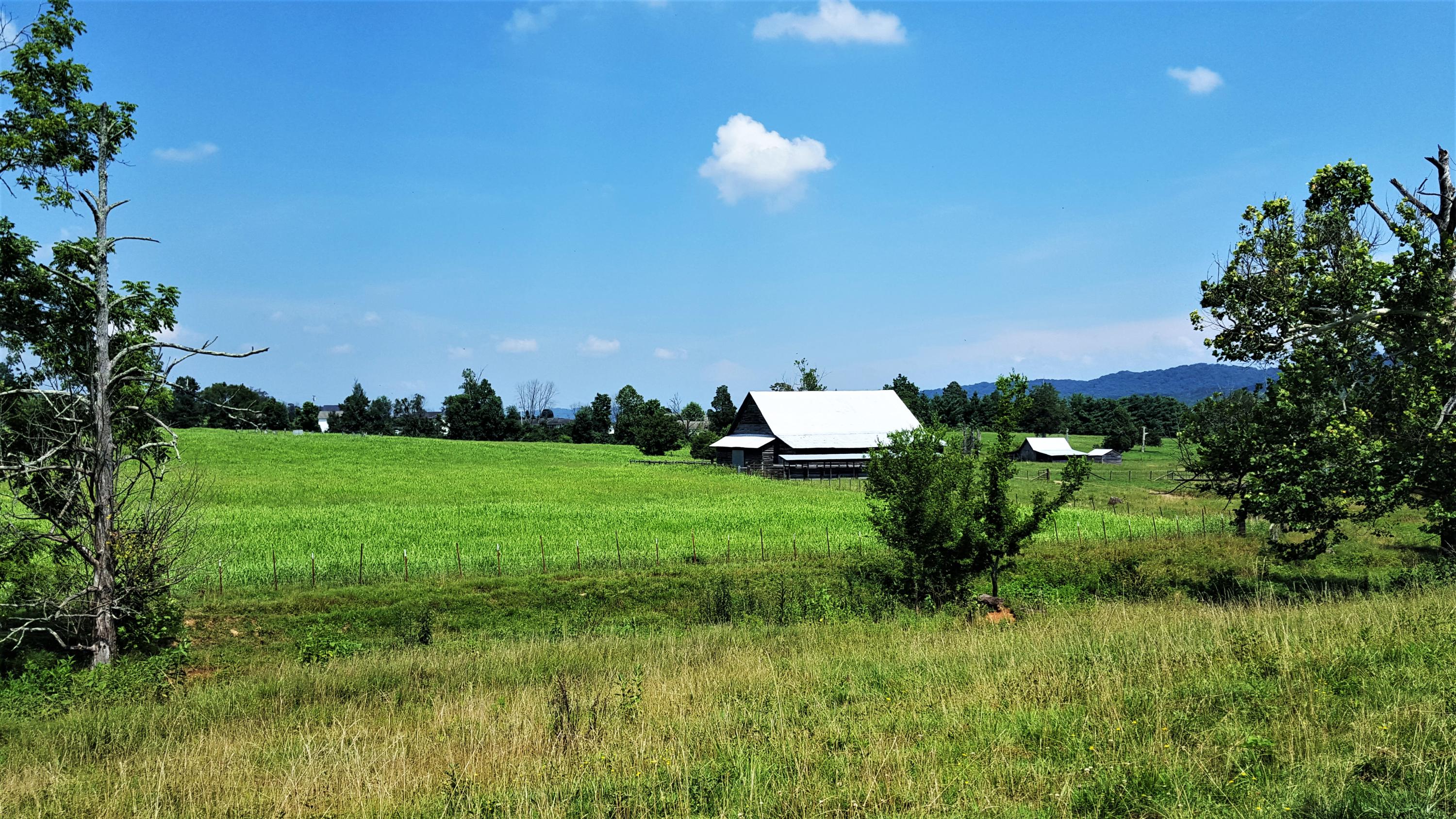 Taylor Road Rutledge, TN 37861 - Photo 14 of 15 014_barns_2
