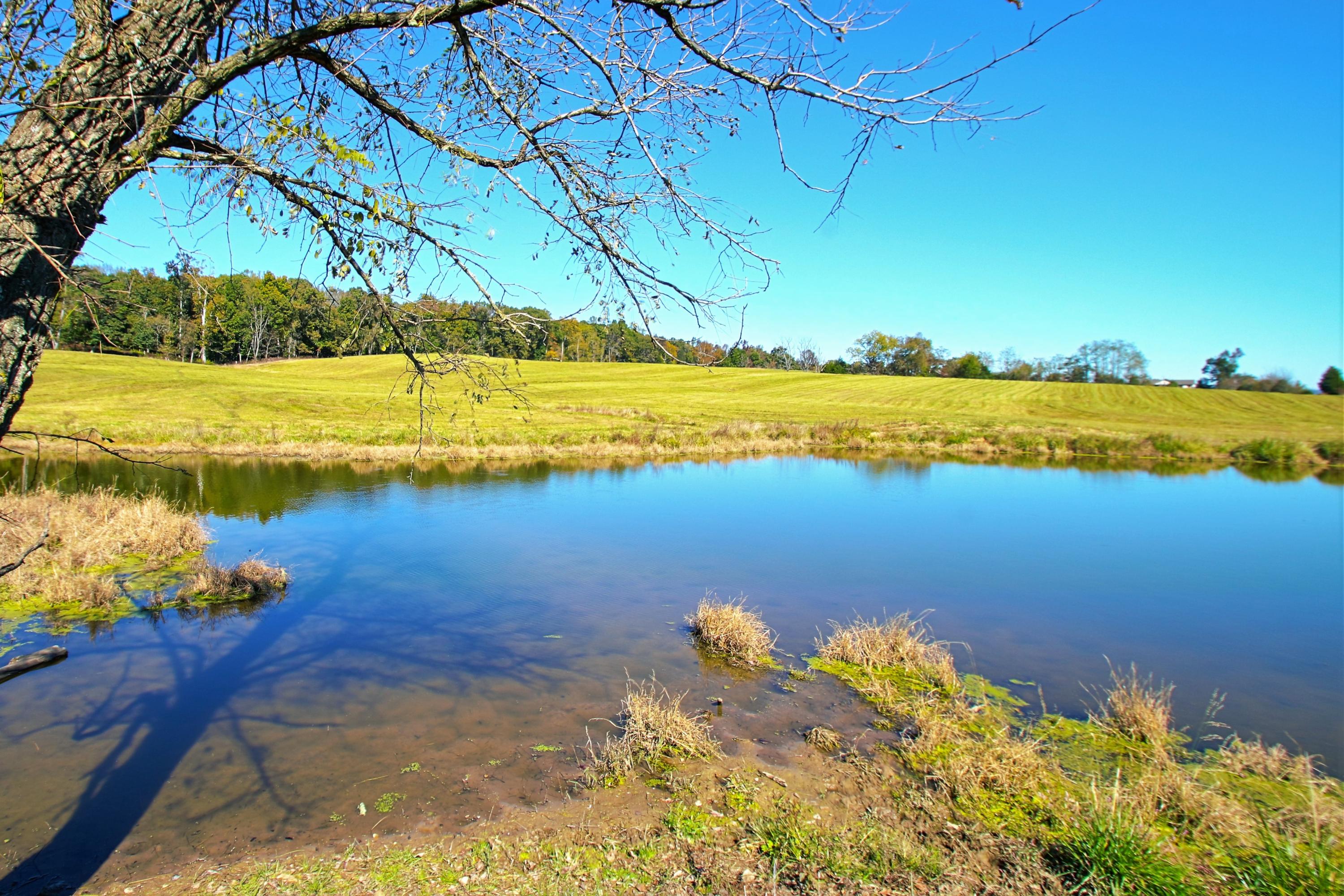 Taylor Road Rutledge, TN 37861 - Photo 15 of 15 015__pond_2