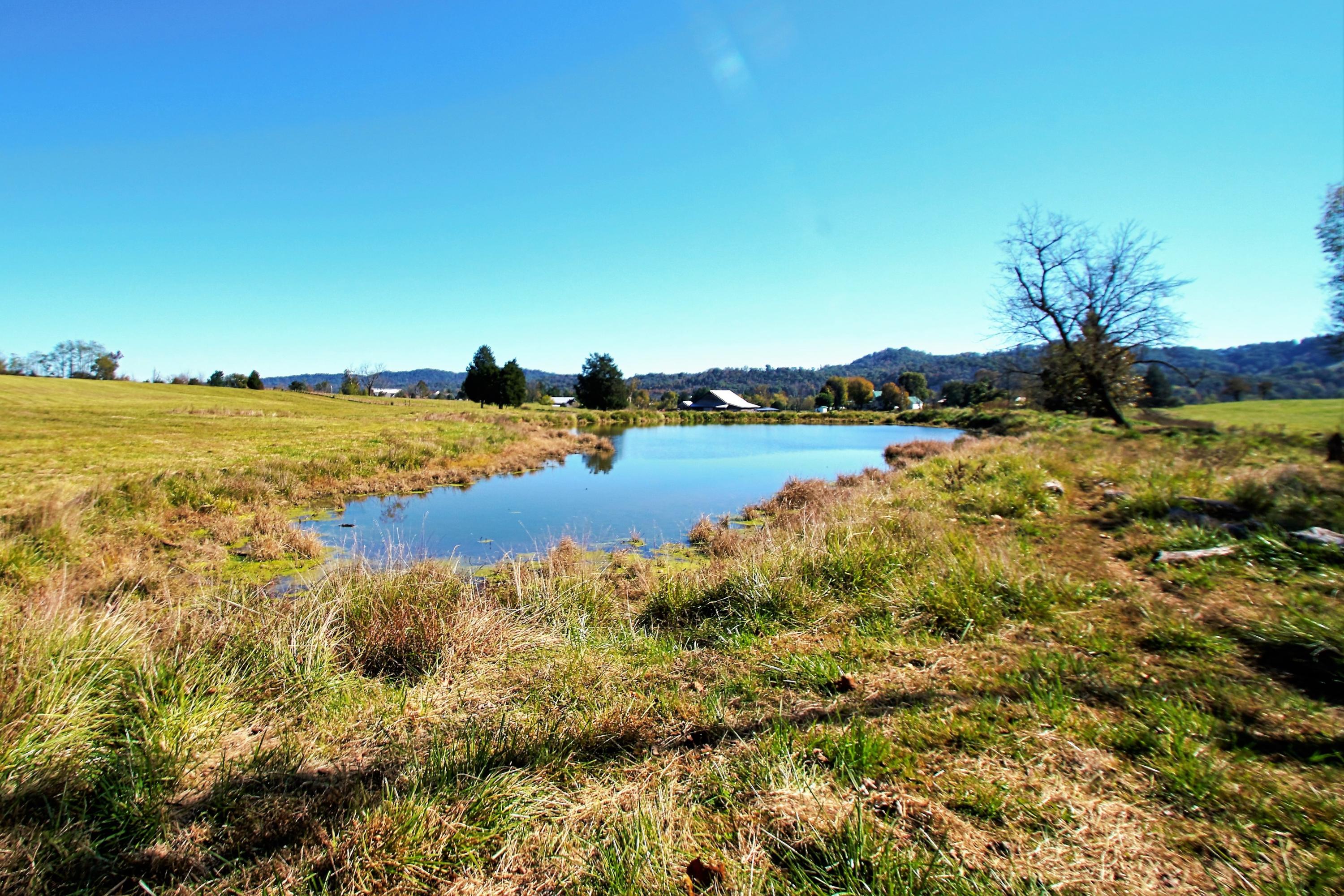 Taylor Road Rutledge, TN 37861 - Photo 3 of 15 003_pond_1