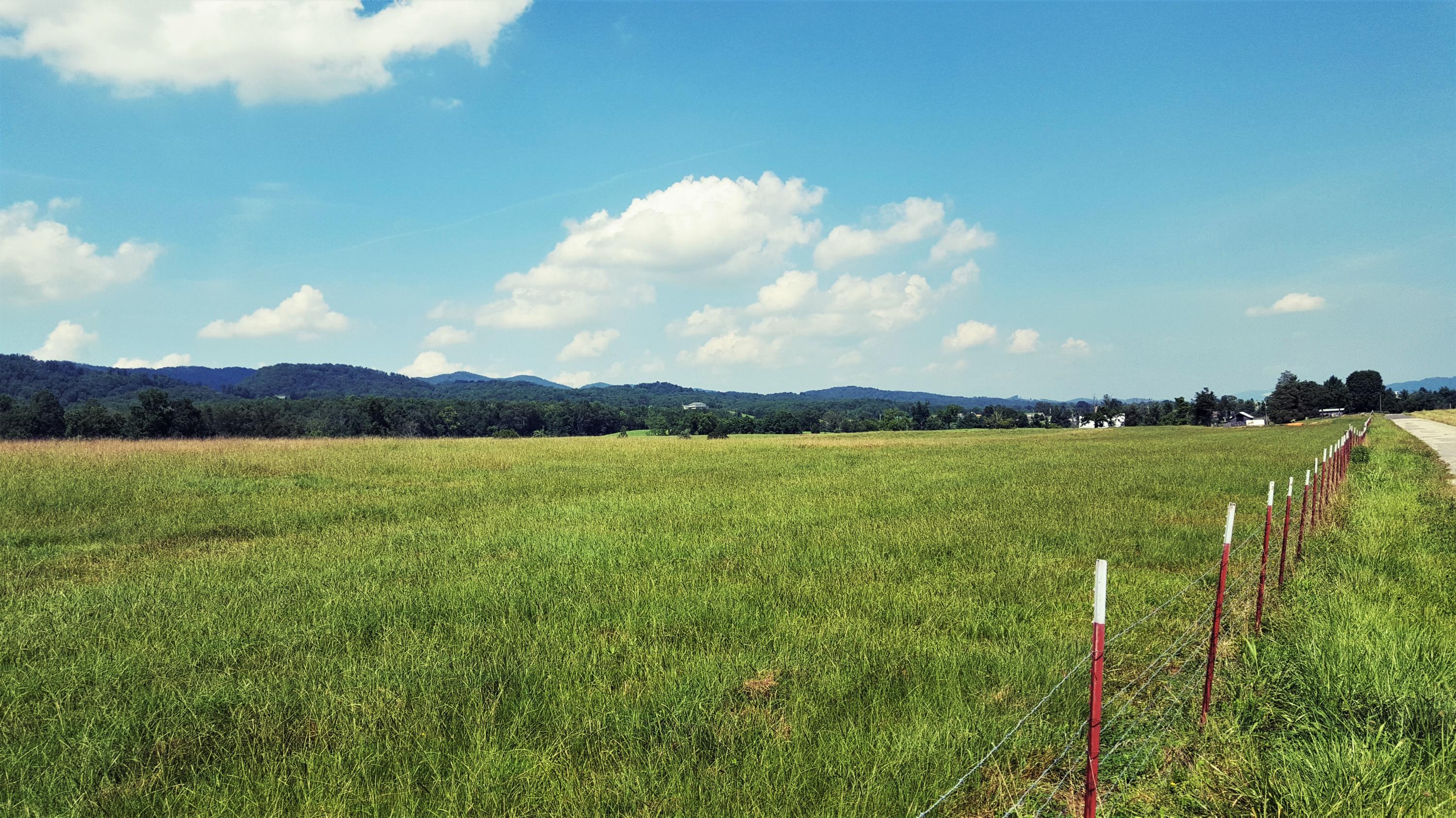 Taylor Road Rutledge, TN 37861 - Photo 4 of 15 004_view to northeast_2