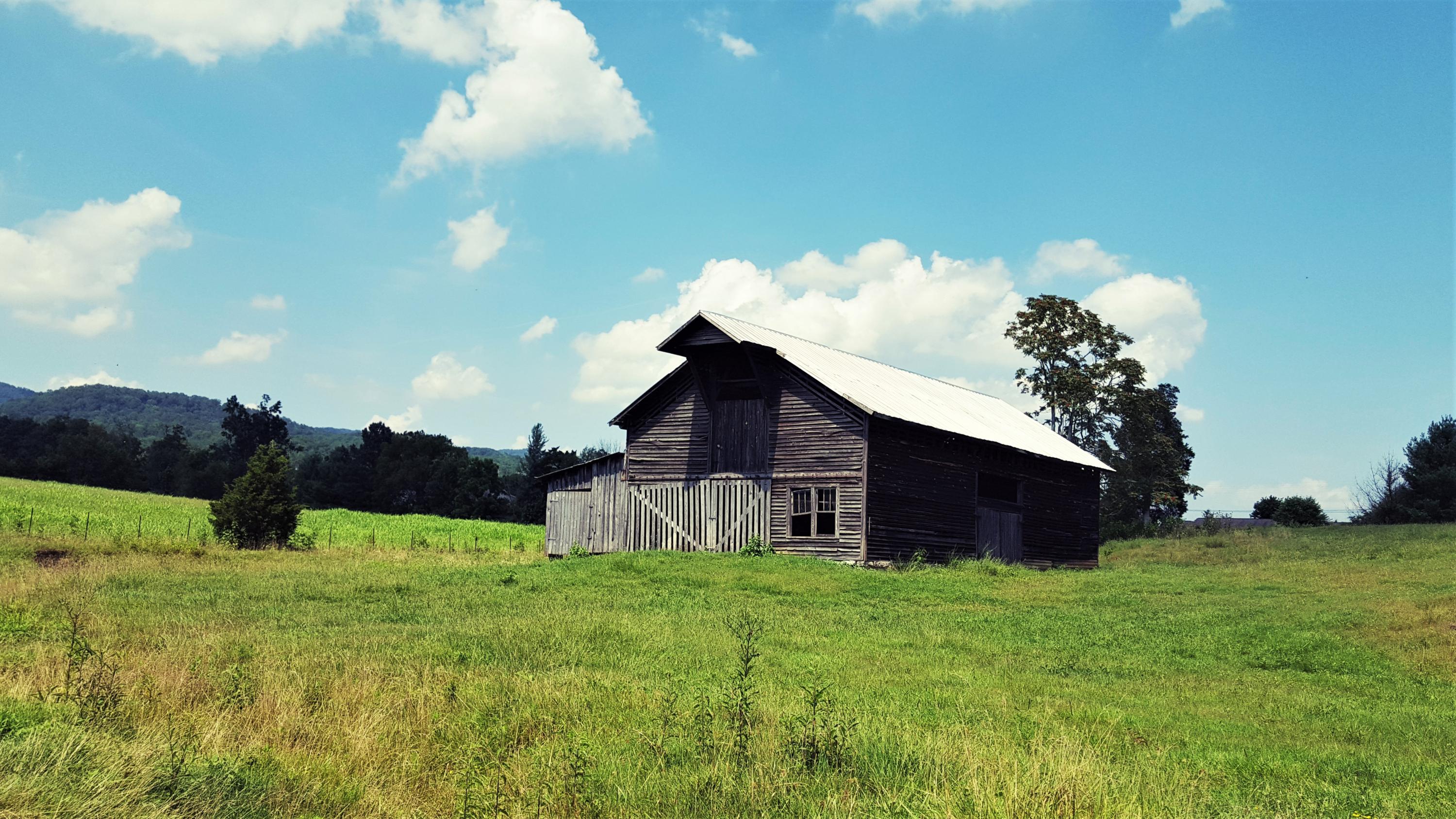 Taylor Road Rutledge, TN 37861 - Photo 6 of 15 006_barns_3