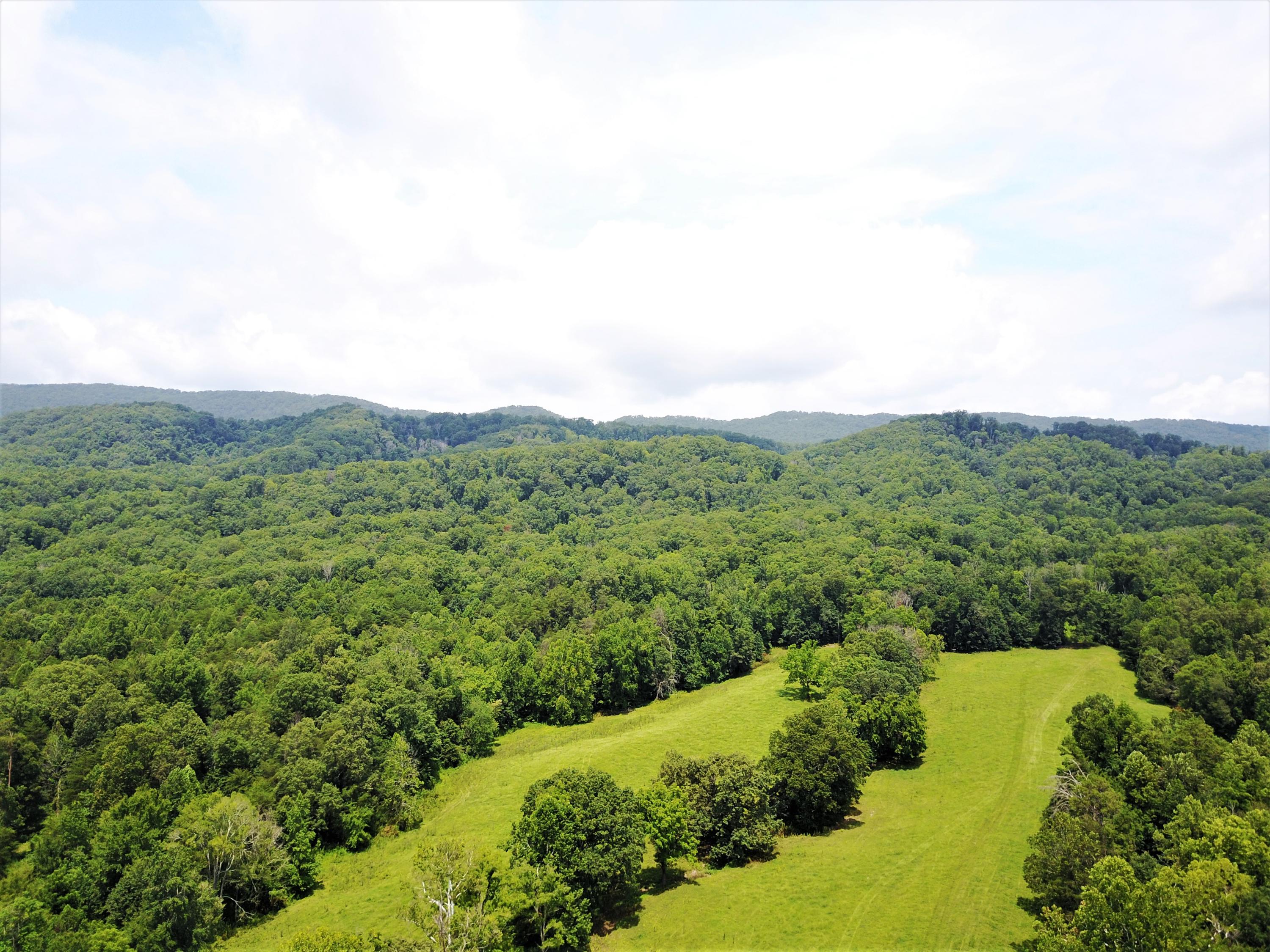 Taylor Road Rutledge, TN 37861 - Photo 7 of 15 007_aerial_2