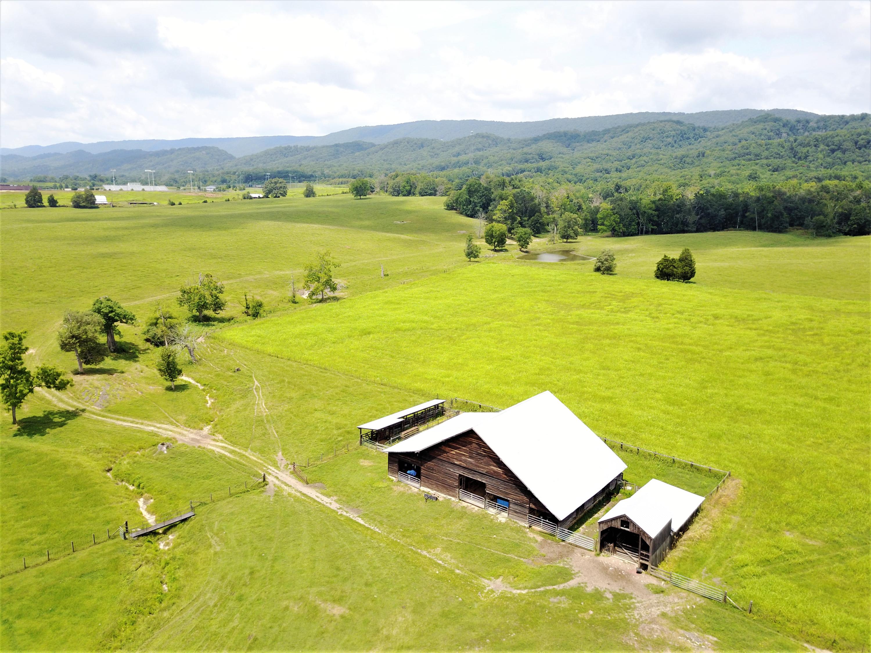 Taylor Road Rutledge, TN 37861 - Photo 10 of 15 010_barns_4