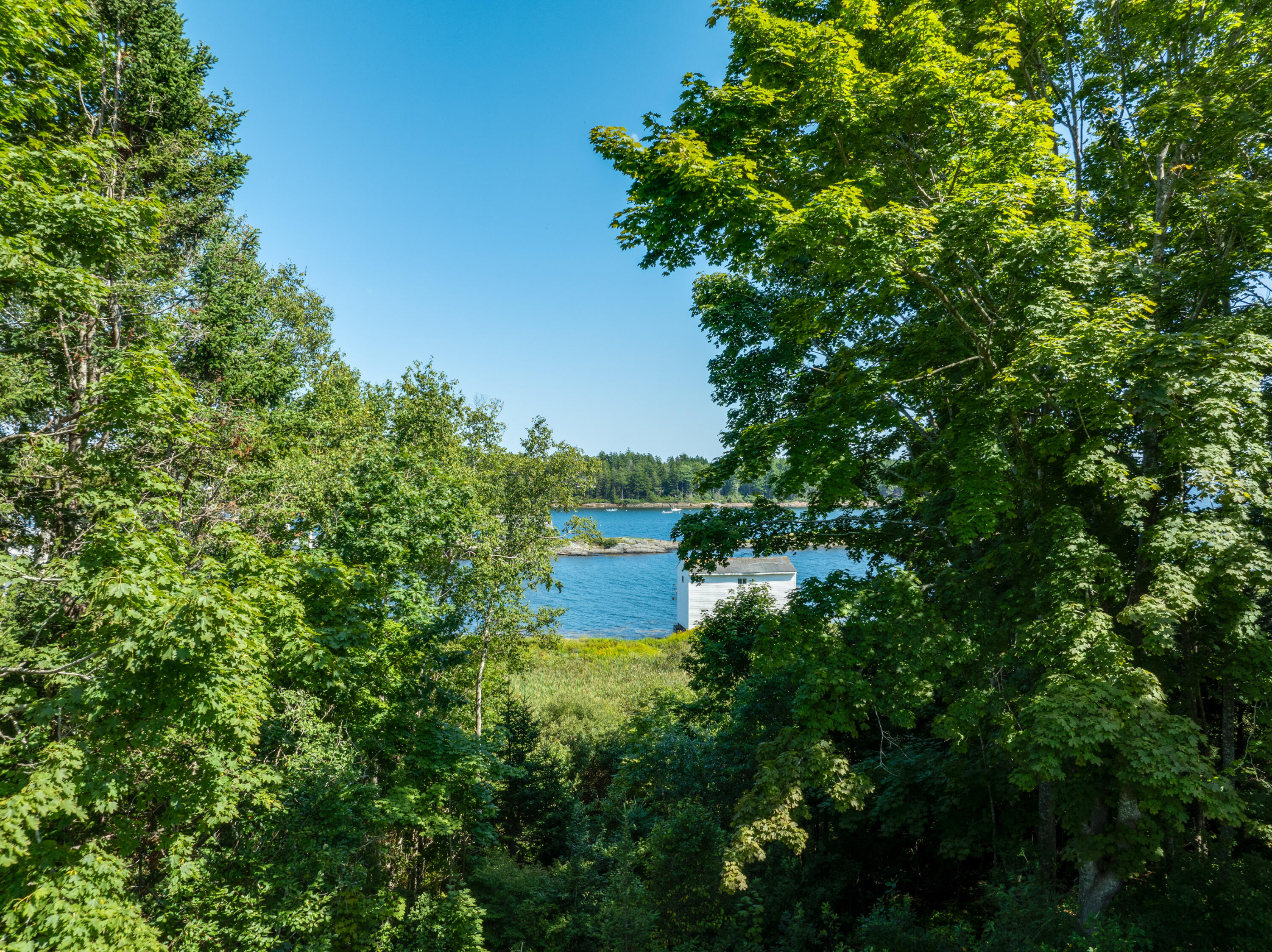 7 Leeman Road Orrs Island, ME 04066 - Photo 23 of 50 Chickadee Imagery-59