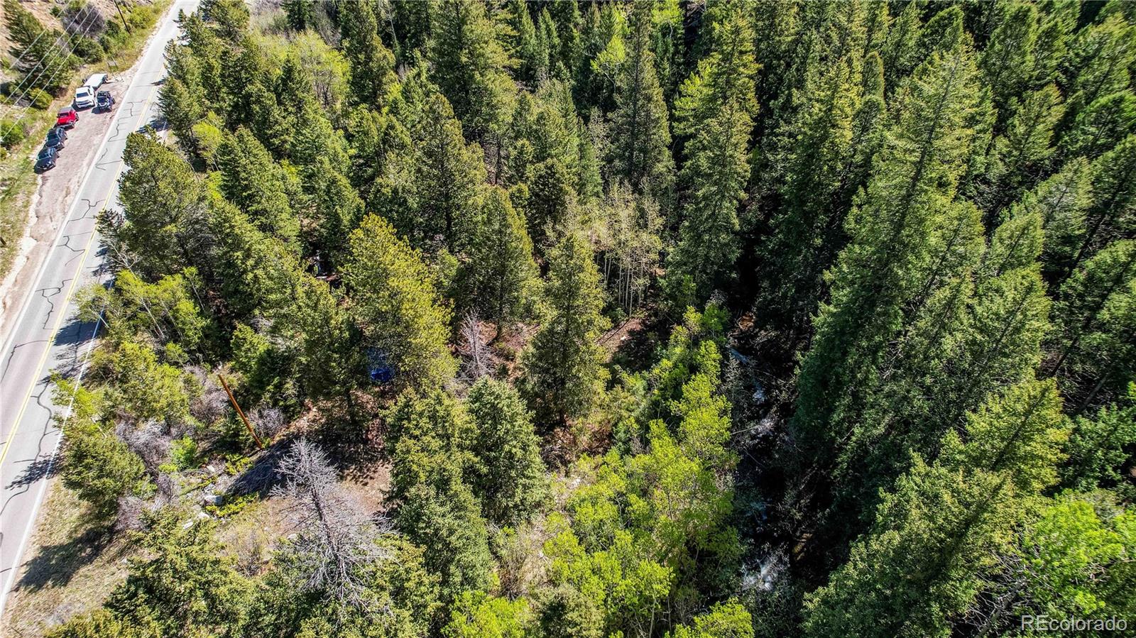 103 Cascade Creek Road Idaho Springs, CO 80452 - Photo 30 of 40 a view of a forest with a tree
