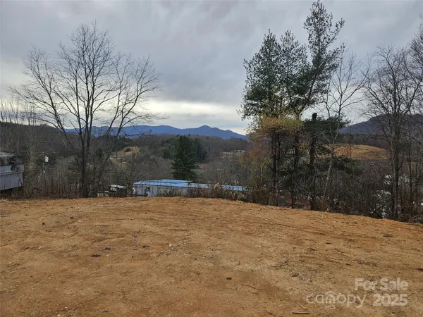 a view of dirt yard with a large tree