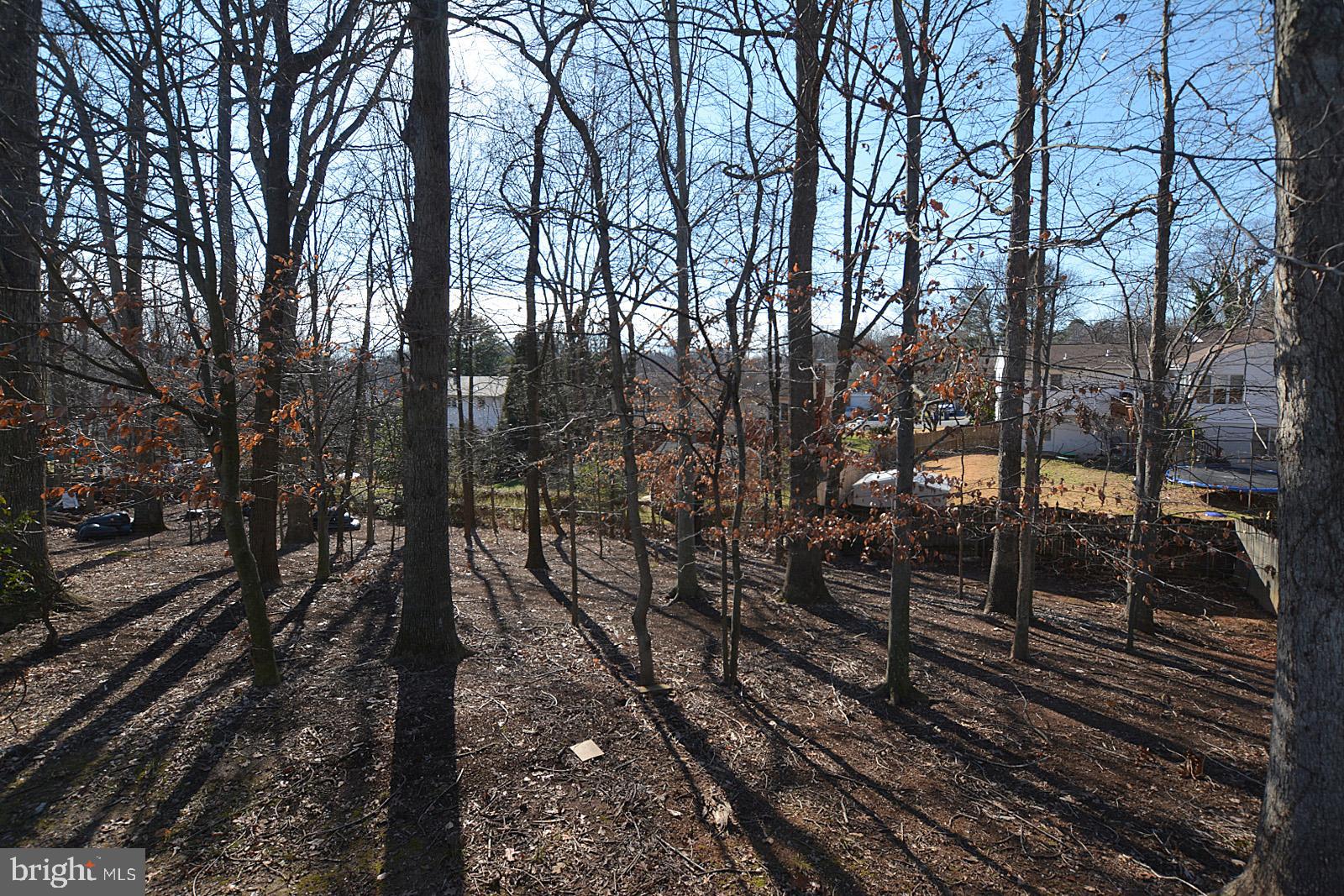 4794 Kelly Road Woodbridge, VA 22193 - Photo 21 of 35 Large Wooded Backyard