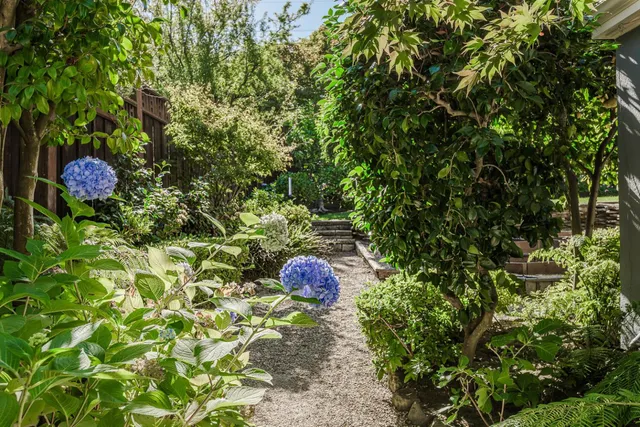 $16,000 | 719 West Poplar Avenue, San Mateo, CA 94402