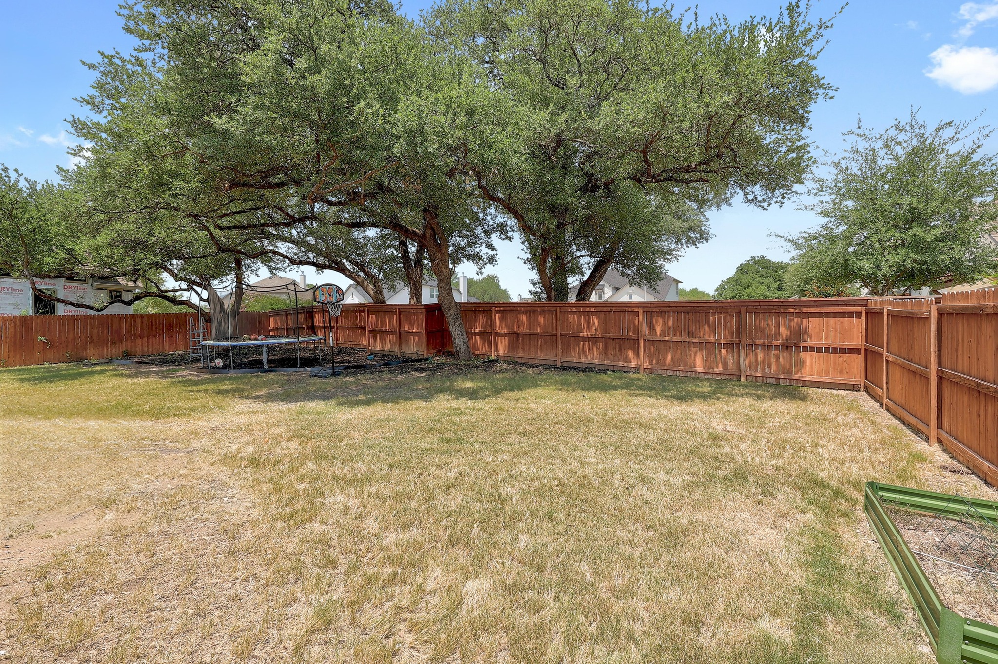 249 Axis Loop Georgetown, TX 78628 - Photo 33 of 36 a view of a backyard with large trees