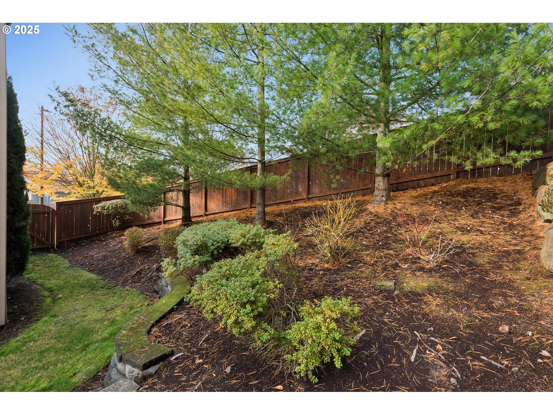 3041 Winkel Way West Linn, OR 97068 - Photo 39 of 45 a view of backyard with green space