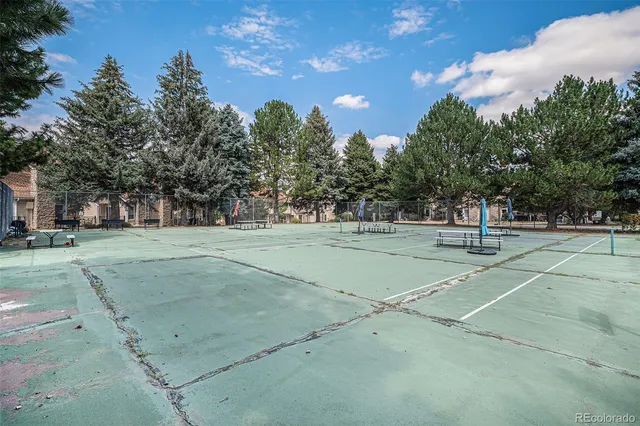 a view of a yard with a tree