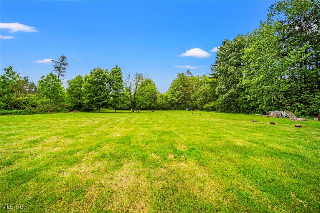 6835 Sidley Road Thompson, OH 44086 - Photo 38 of 39 View of grassy yard with a rural view