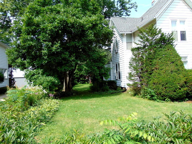 112 South Chase Street Wheaton, IL 60187 - Photo 4 of 19