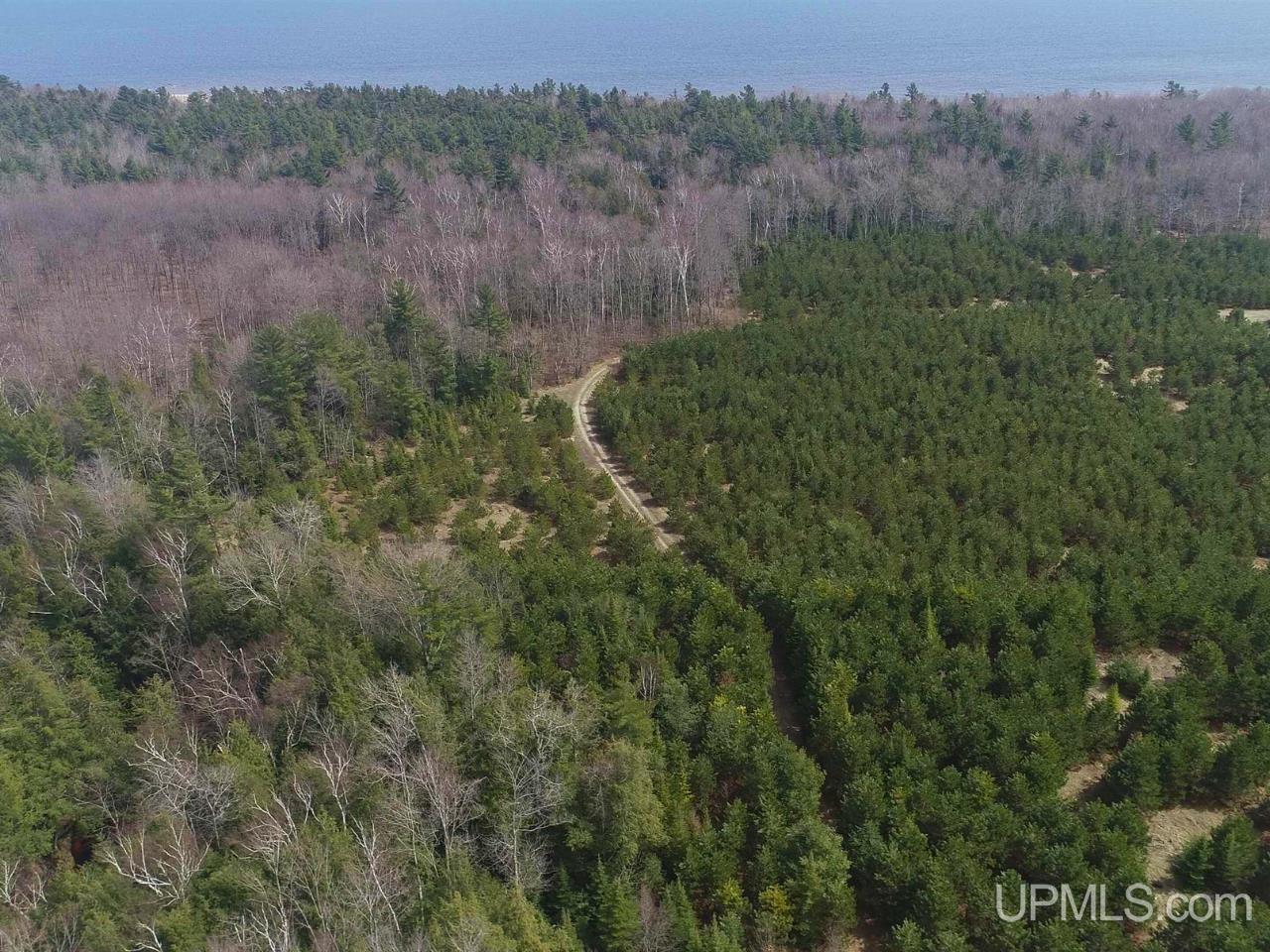 40-acres Gierke Road Manistique, MI 49854 - Photo 25 of 39