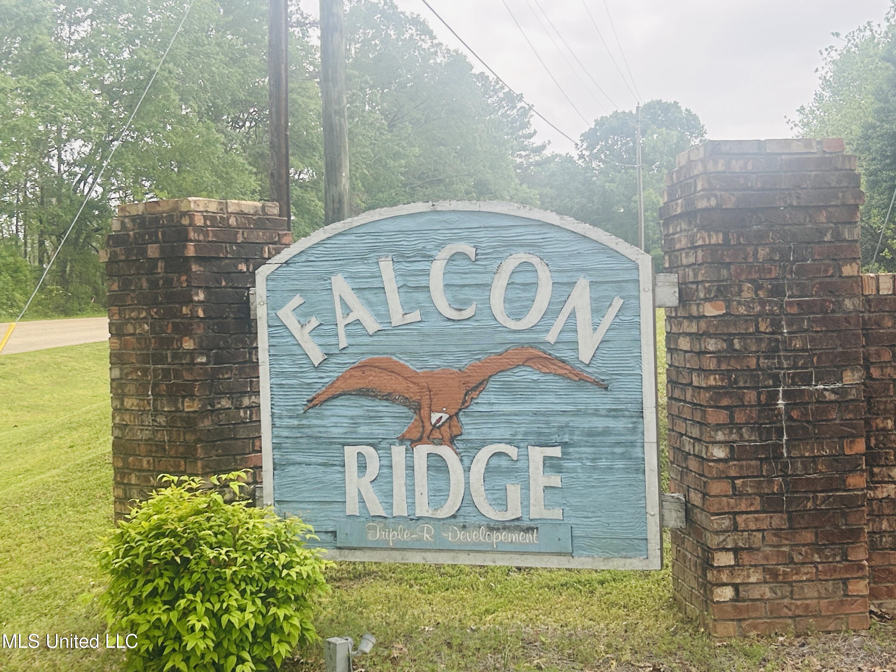 126 Falcon Ridge Drive Raymond, MS 39154 - Photo 5 of 5 IMG_7653