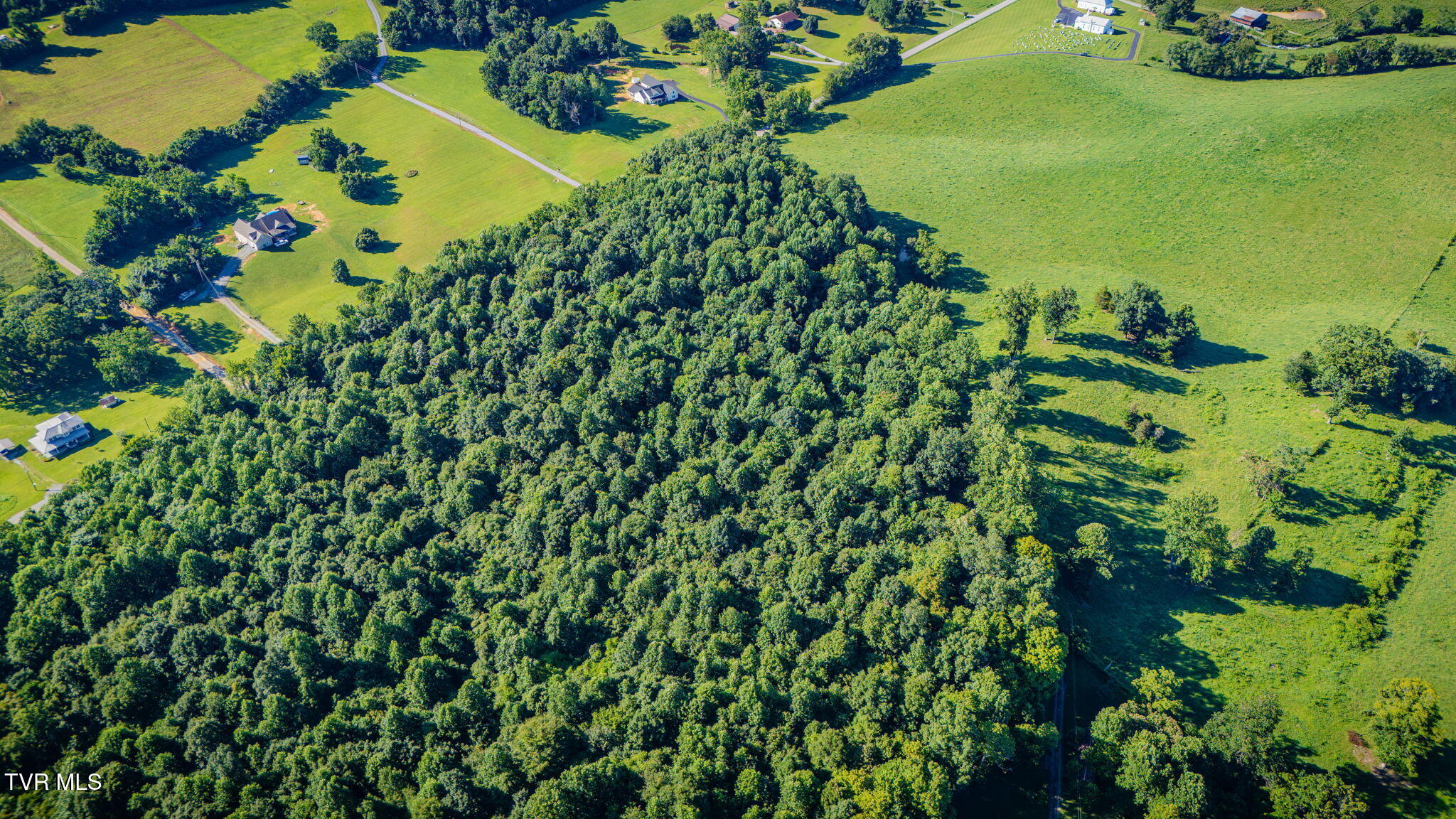 3703 Old Snapps Ferry Road Limestone, TN 37681 - Photo 11 of 17 109
