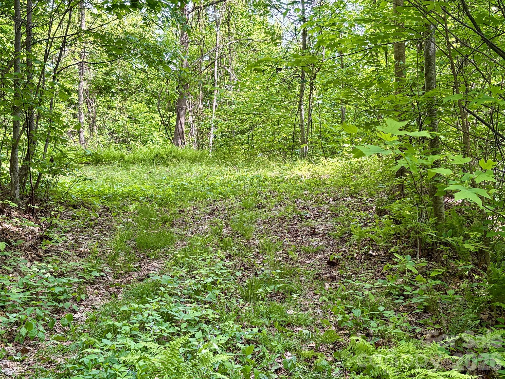 0 Carpenter Road Bryson City, NC 28713 - Photo 28 of 30 Gallery Image 28
