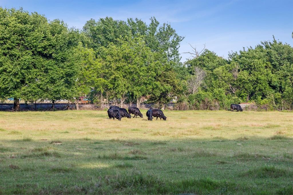 Tbd West Clifton Street Pilot Point, TX 76258 - Photo 2 of 2 a view of a backyard