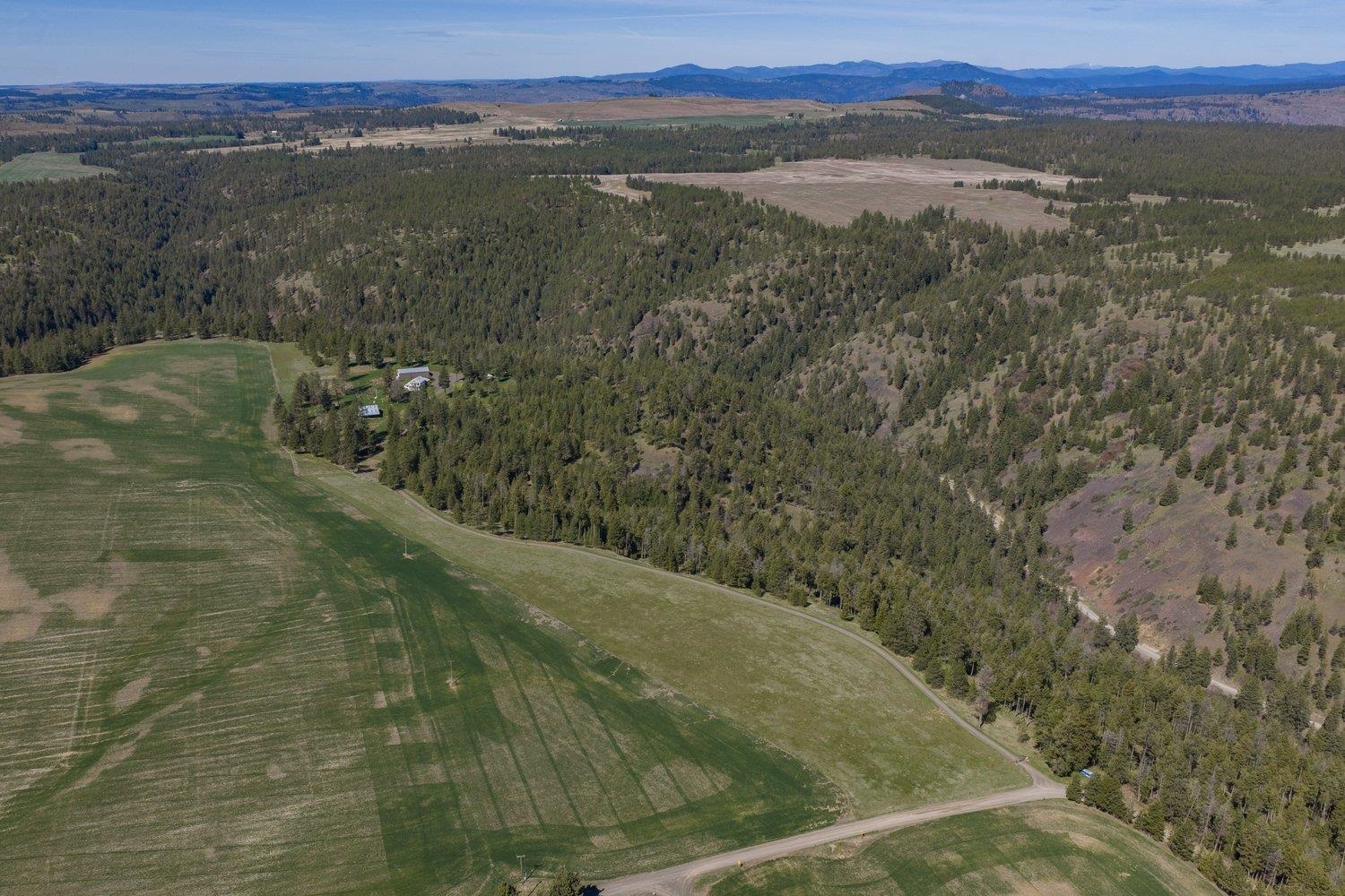 35405 Nye Road North Davenport, WA 99122 - Photo 40 of 50