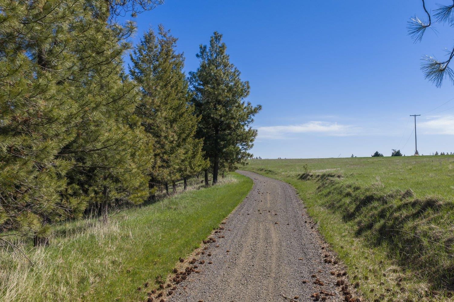 35405 Nye Road North Davenport, WA 99122 - Photo 41 of 50