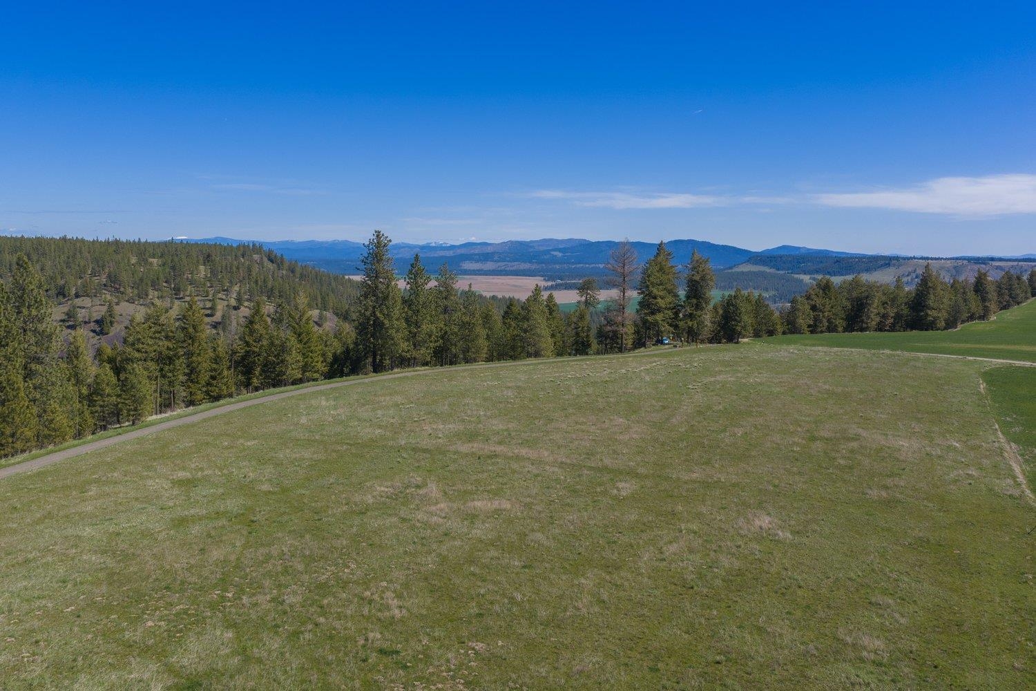 35405 Nye Road North Davenport, WA 99122 - Photo 42 of 50