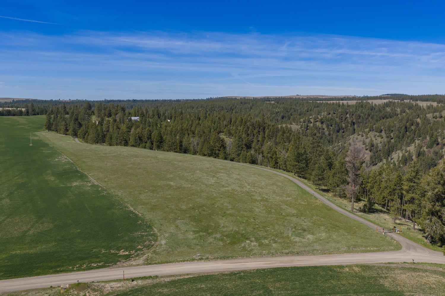 35405 Nye Road North Davenport, WA 99122 - Photo 43 of 50