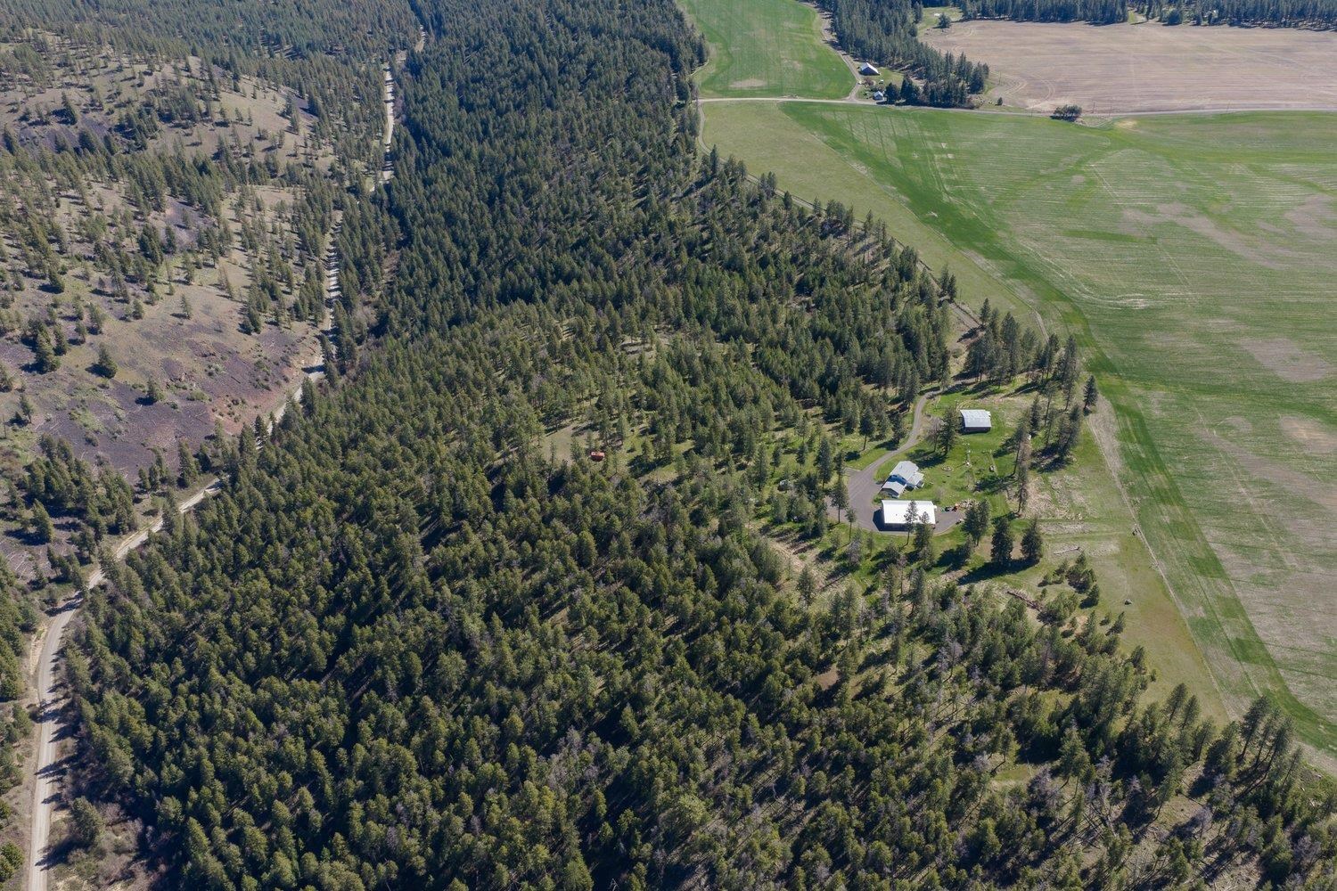 35405 Nye Road North Davenport, WA 99122 - Photo 49 of 50