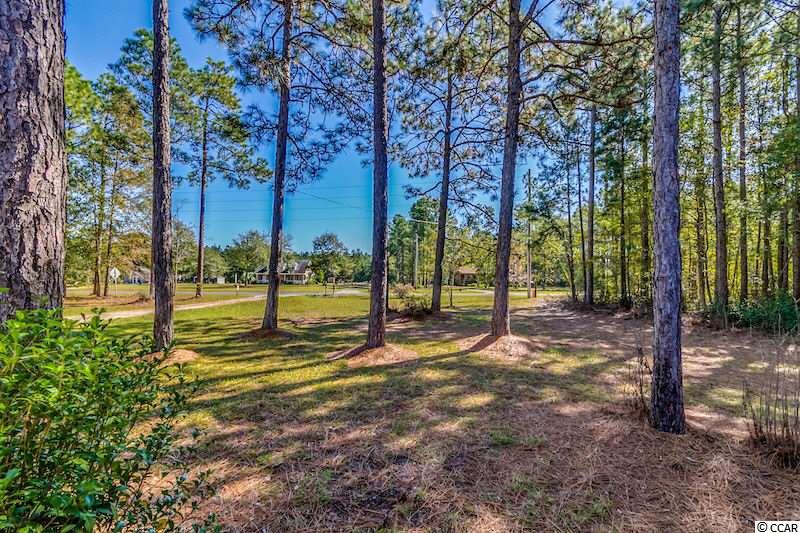 465 State Rd S-26-1010 Conway, SC 29526 - Photo 9 of 25 Gallery Image 9