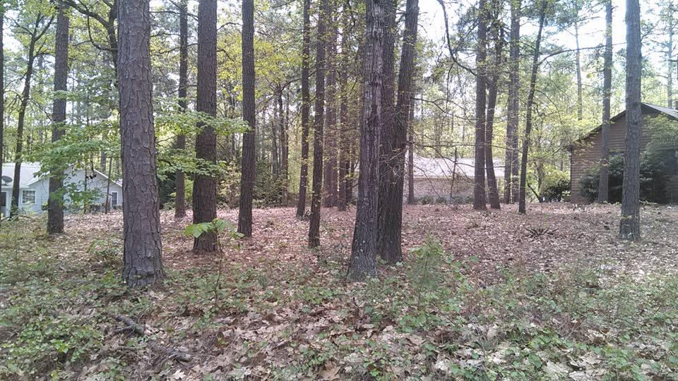 865 Burning Tree Road Pinehurst, NC 28374 - Photo 5 of 9 3