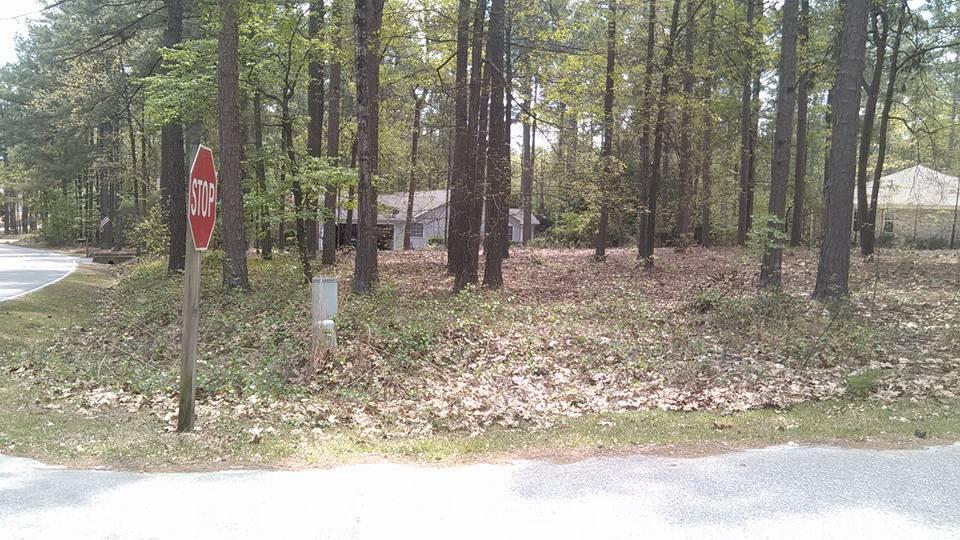 865 Burning Tree Road Pinehurst, NC 28374 - Photo 6 of 9 4