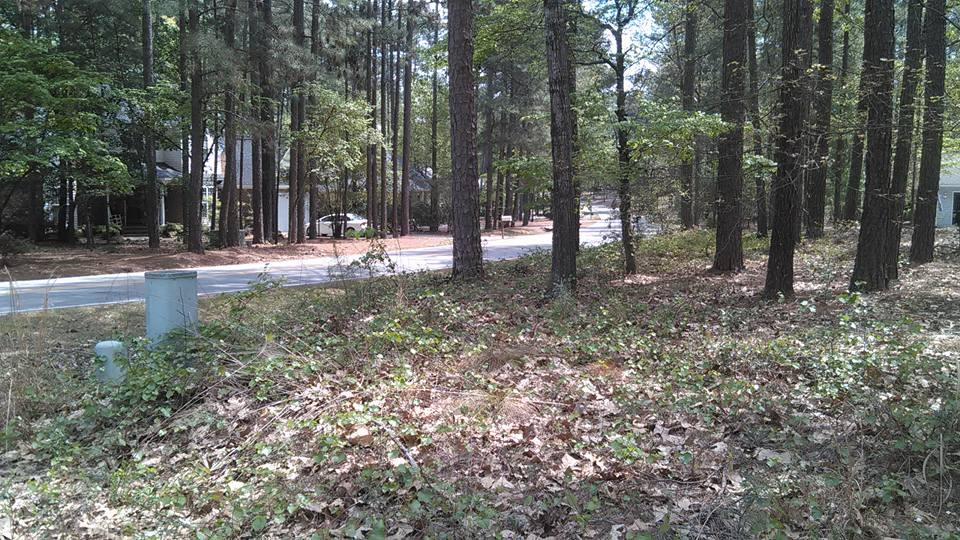 865 Burning Tree Road Pinehurst, NC 28374 - Photo 7 of 9 5