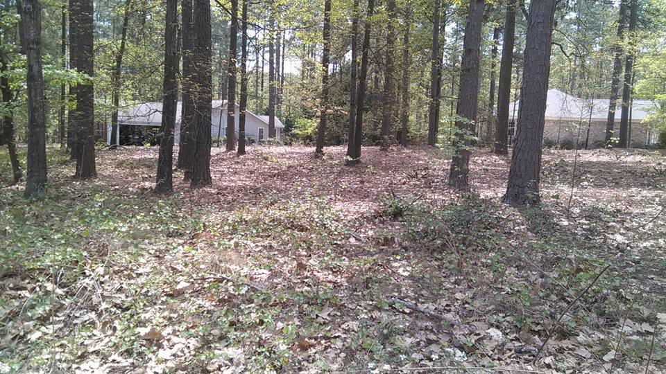 865 Burning Tree Road Pinehurst, NC 28374 - Photo 8 of 9 6