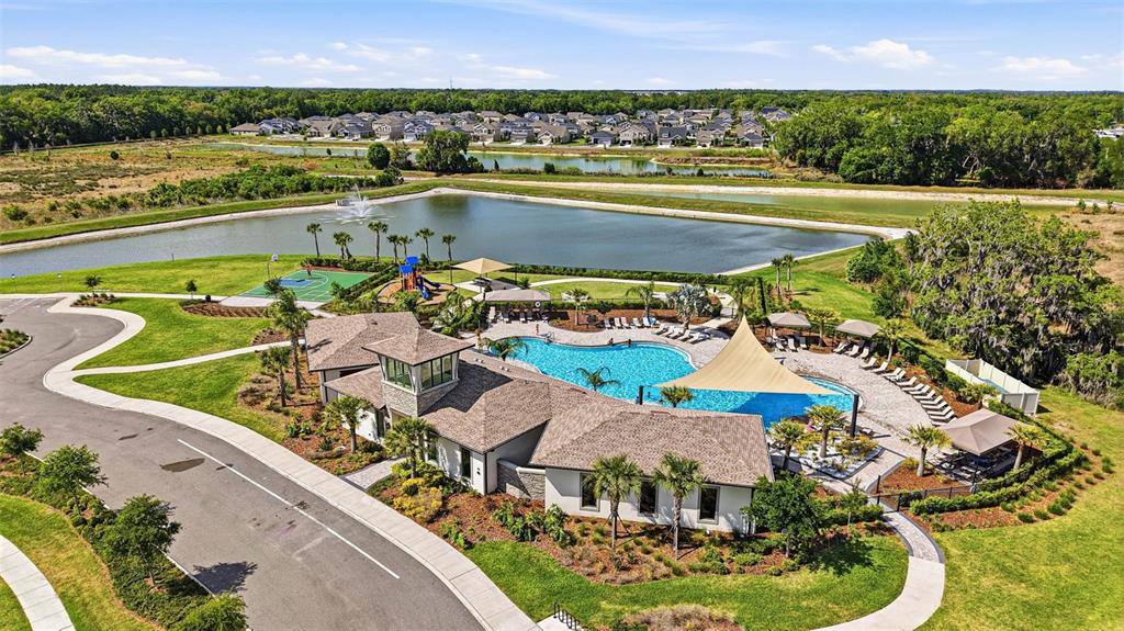 2959 Common Fig Run Wesley Chapel, FL 33543 - Photo 35 of 36 an aerial view of a house with a swimming pool and outdoor space