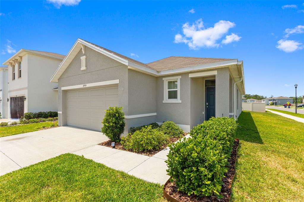 2959 Common Fig Run Wesley Chapel, FL 33543 - Photo 4 of 36 a view of a house with a yard